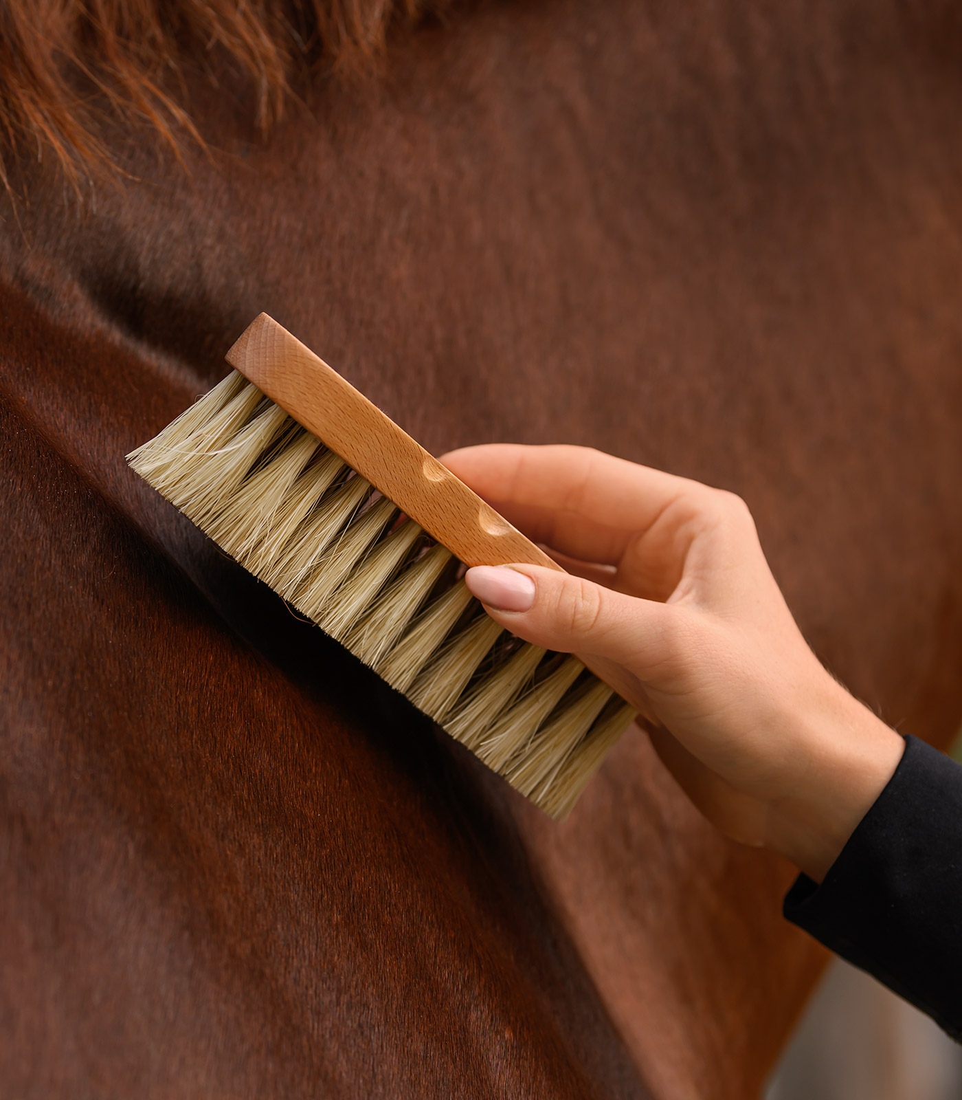 Exclusive Line Contour Brush