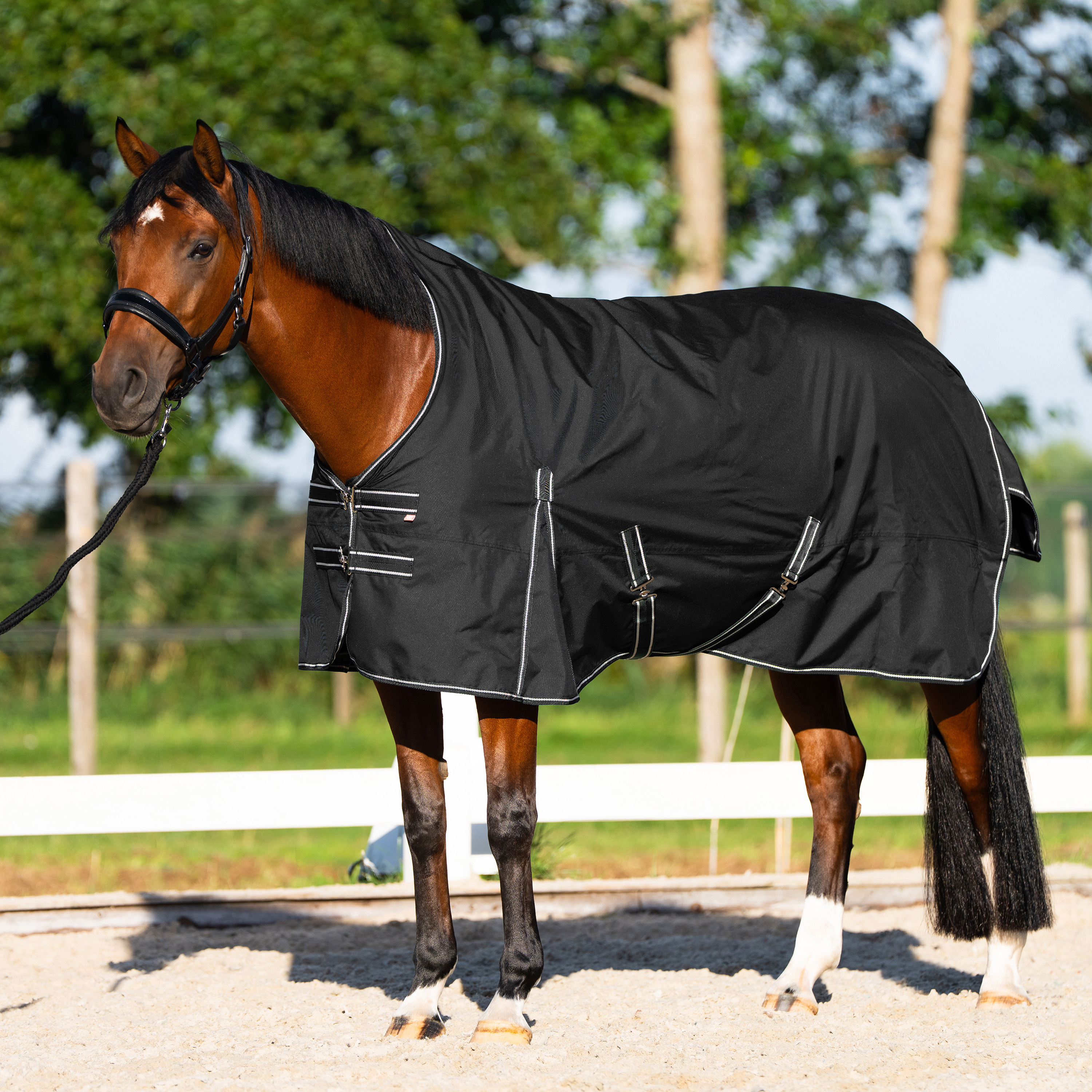Outdoordecke Basic mit hohem Halsteil Sommer