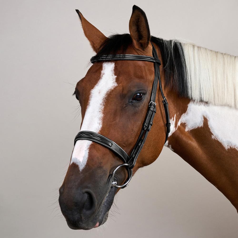 Cavesson Hunter Trense mit englischem Reithalfter US