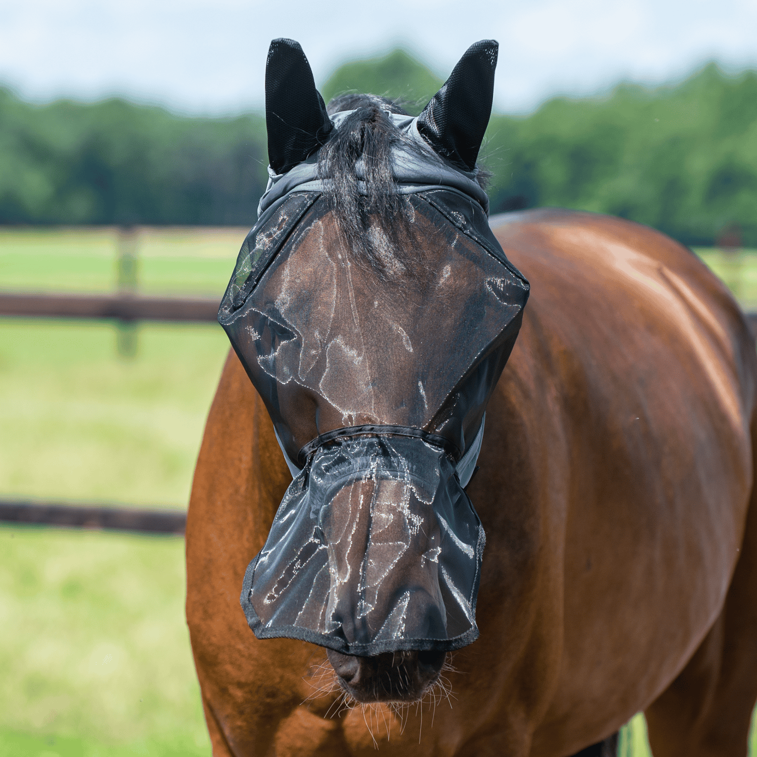 Fliegenmaske Fly Buckler Gap Plus