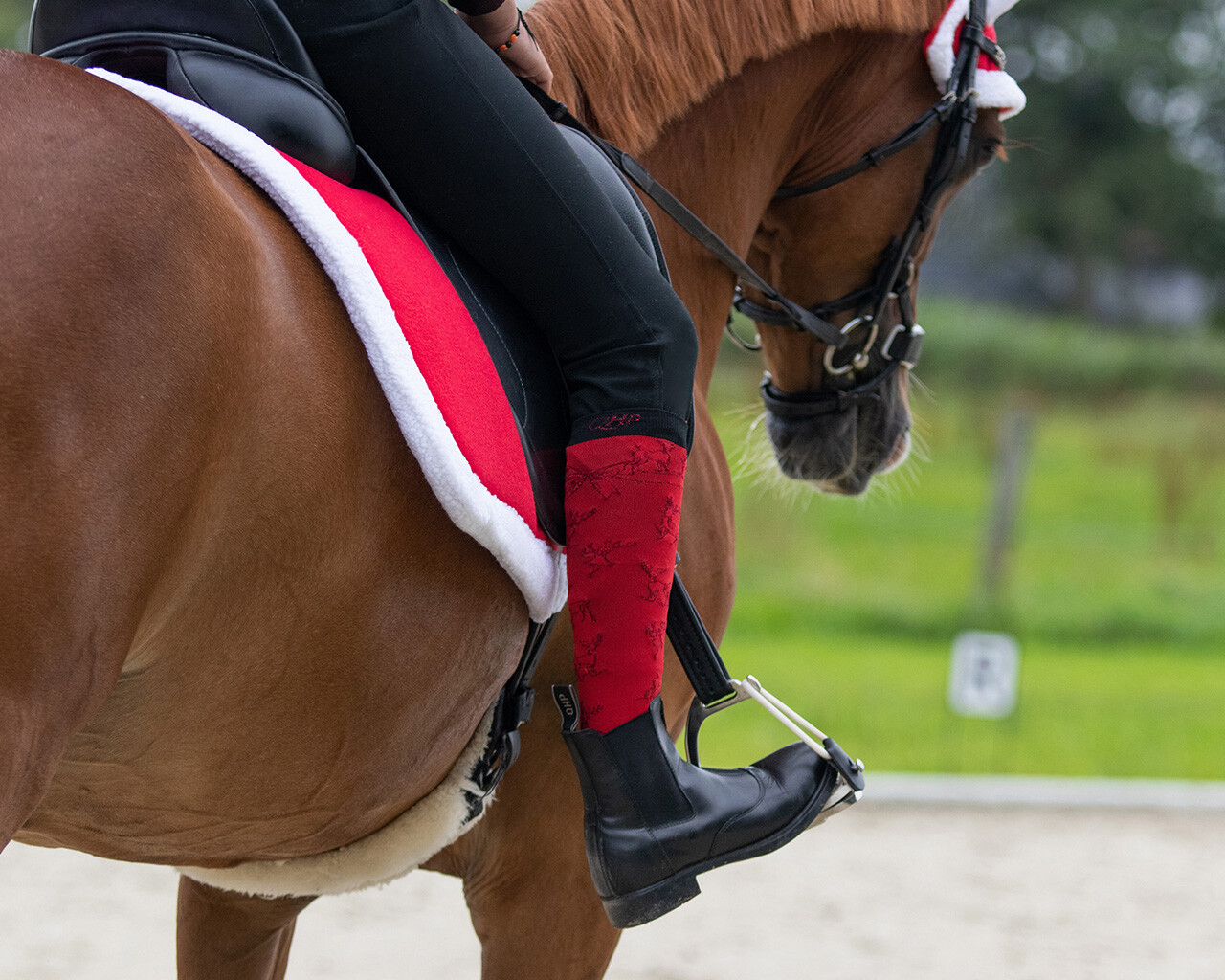 Christmas knee socks (pack of 2)