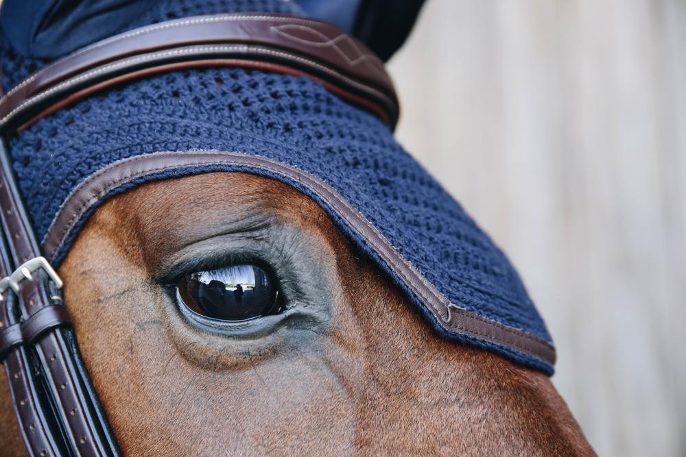Fliegenhaube Wellington Leather
