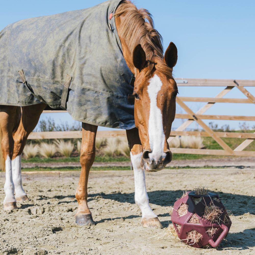 Relax horse game & hay ball