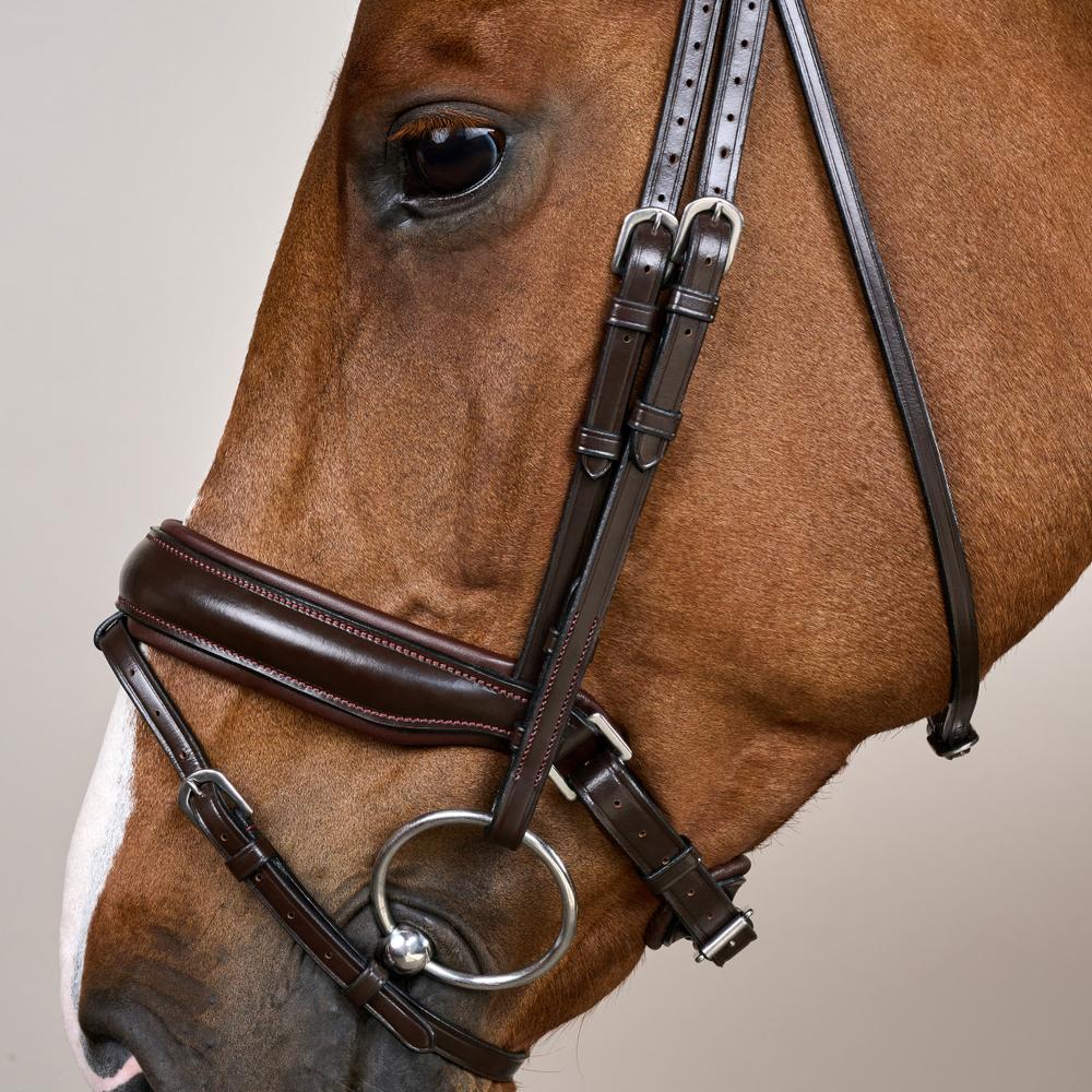 Trense mit breitem schwedischem Reithalfter WO