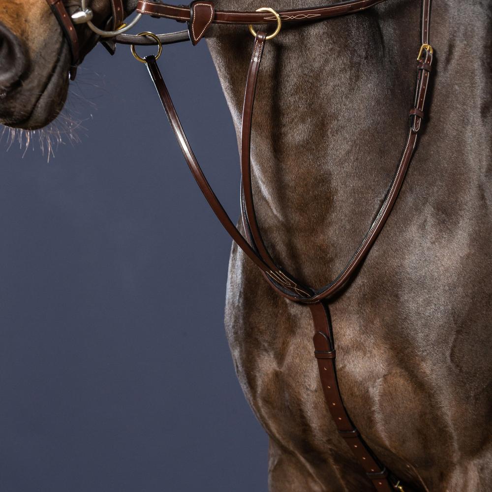 Martingale à anneaux coulissante | Dy'on