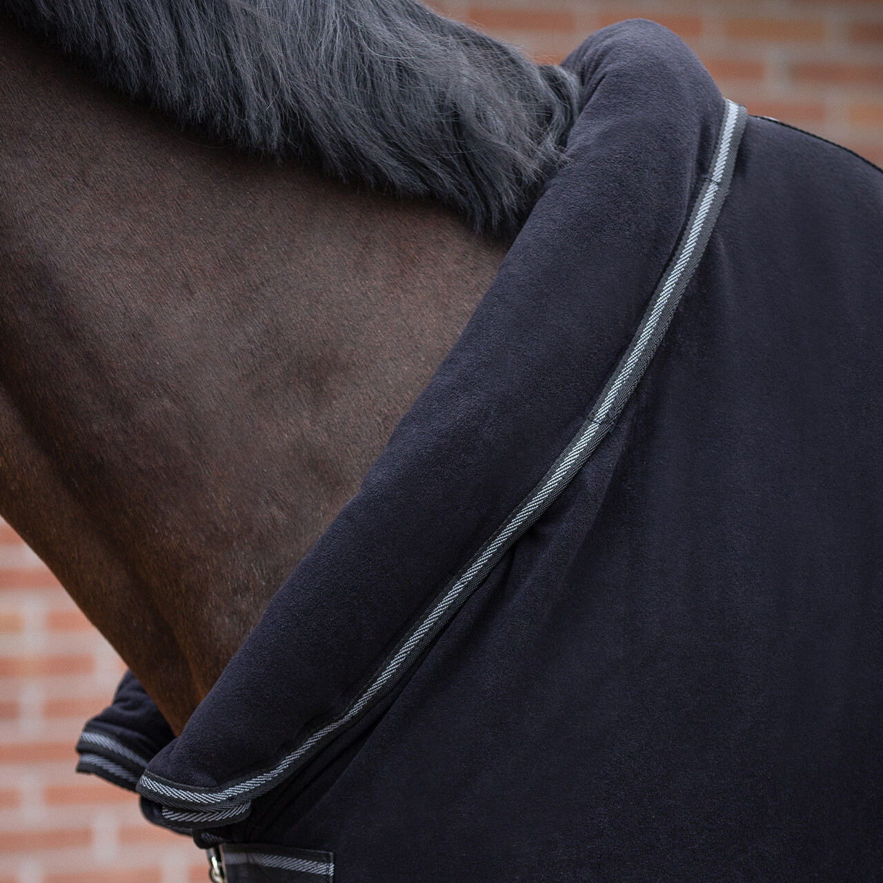 Abschwitzdecke Terry-dry in schwarz