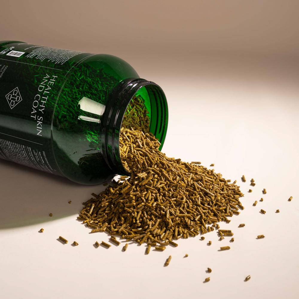 Healthy coat & healthy skin