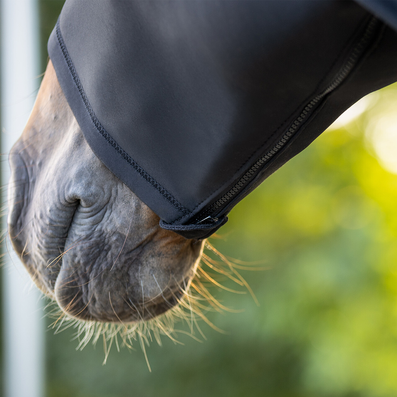 Elastan-Halsschutz mit Reißverschluss