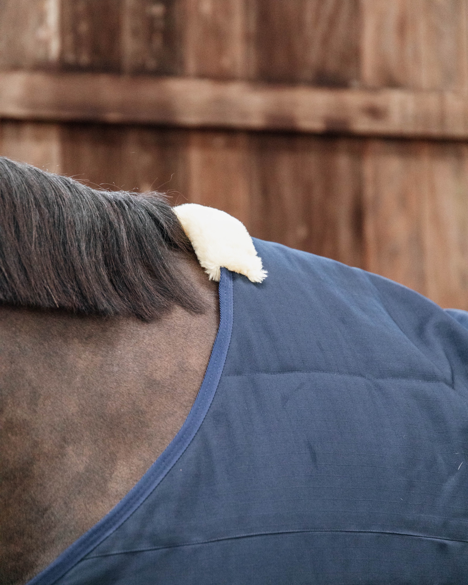 Classic 300g stable rug