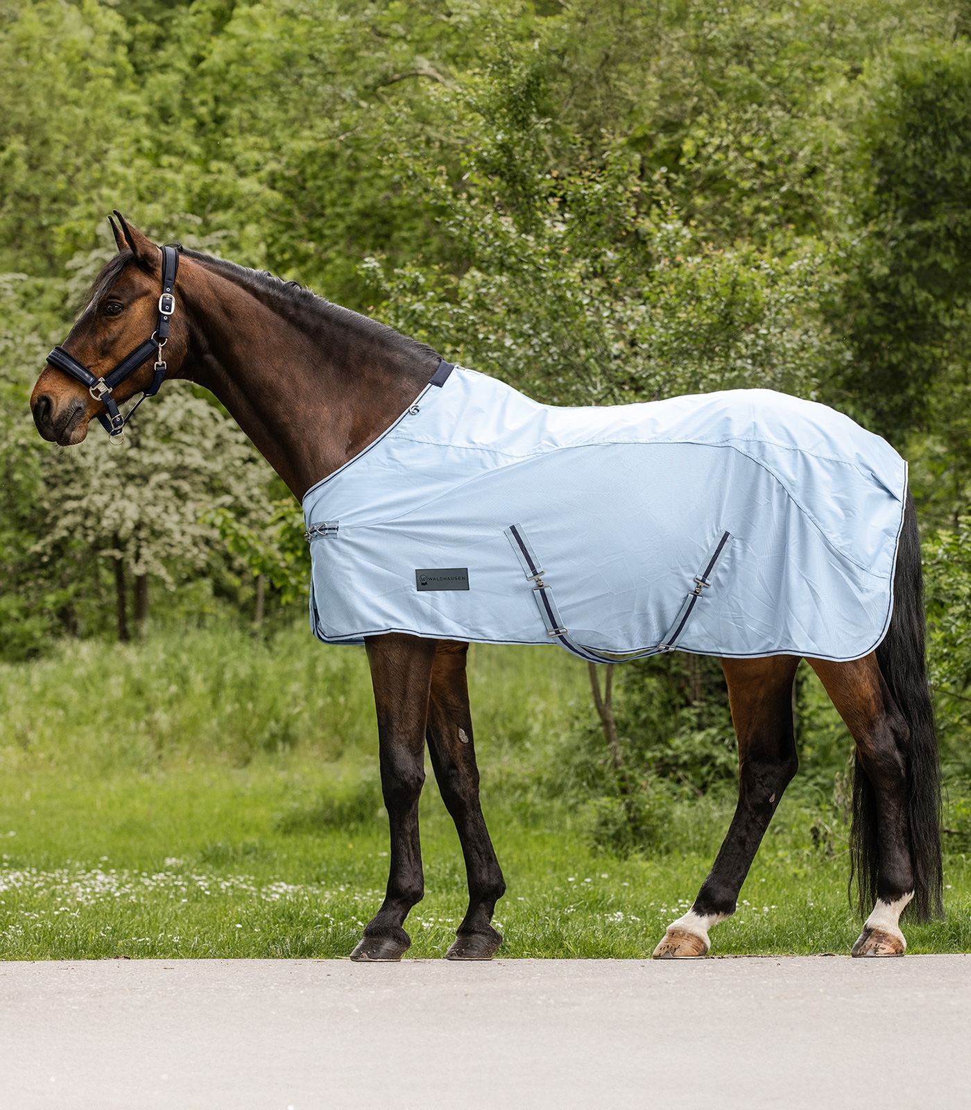 Protect rain fly rug