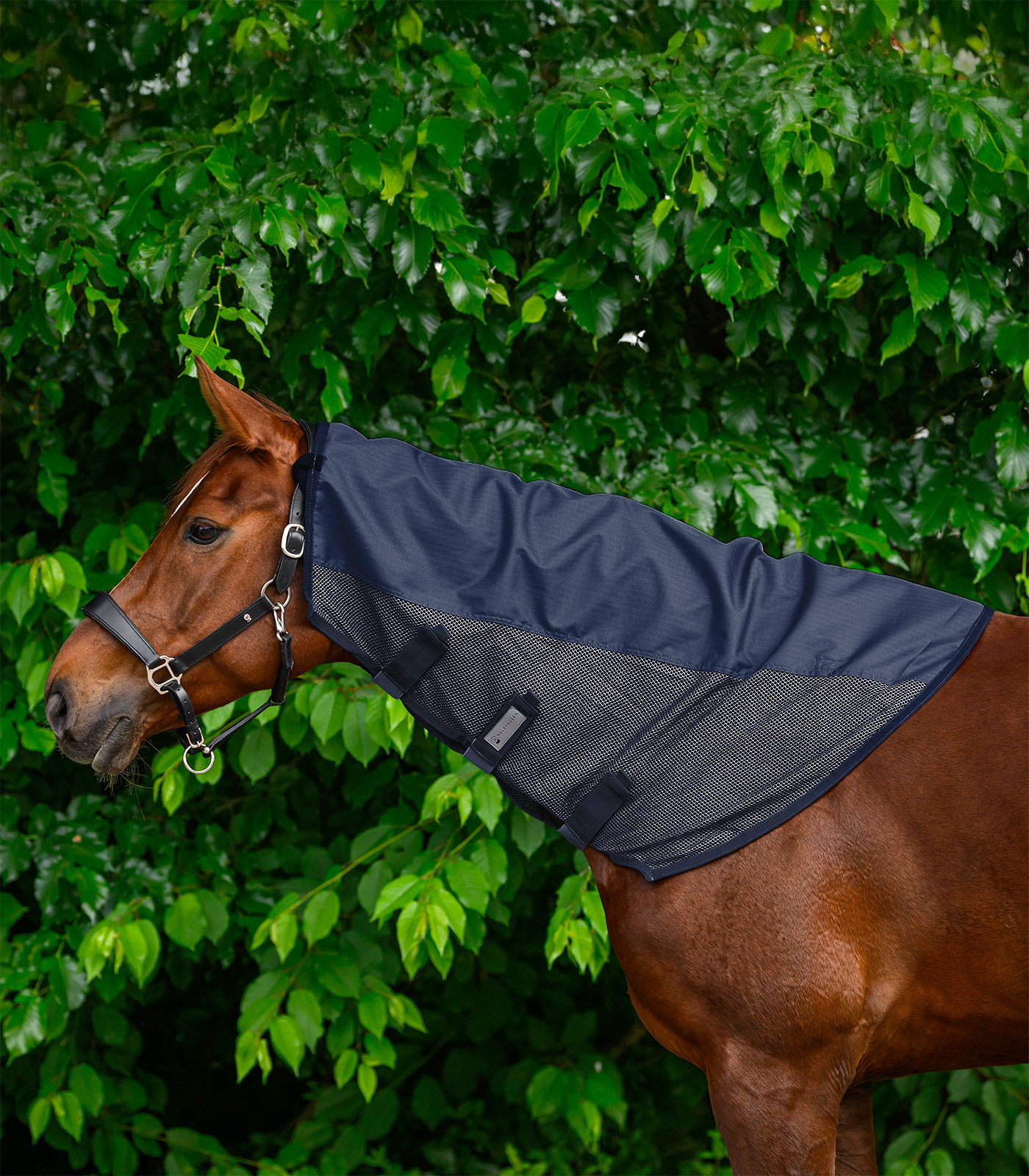 Regen-Fliegen Halsteil Comfort