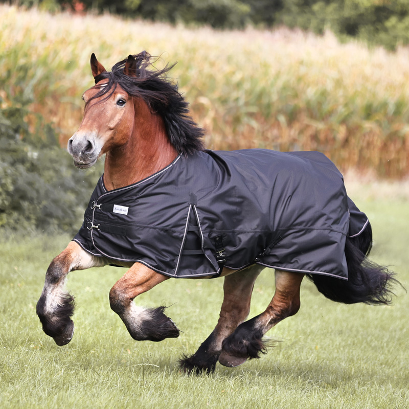 Outdoordecke "Kaltblut" - Fleece