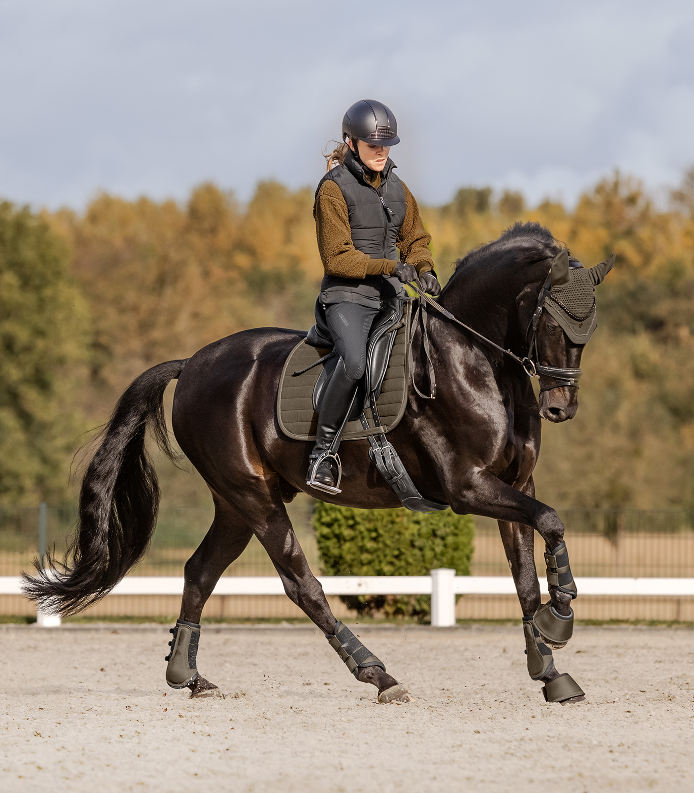 Fliegenohren St. Gallen