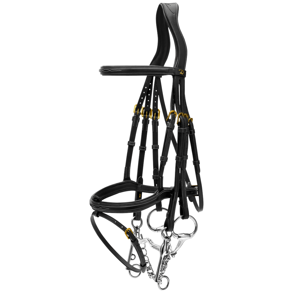 Kandare mit kombiniertem Reithalfter DY | Dy'on