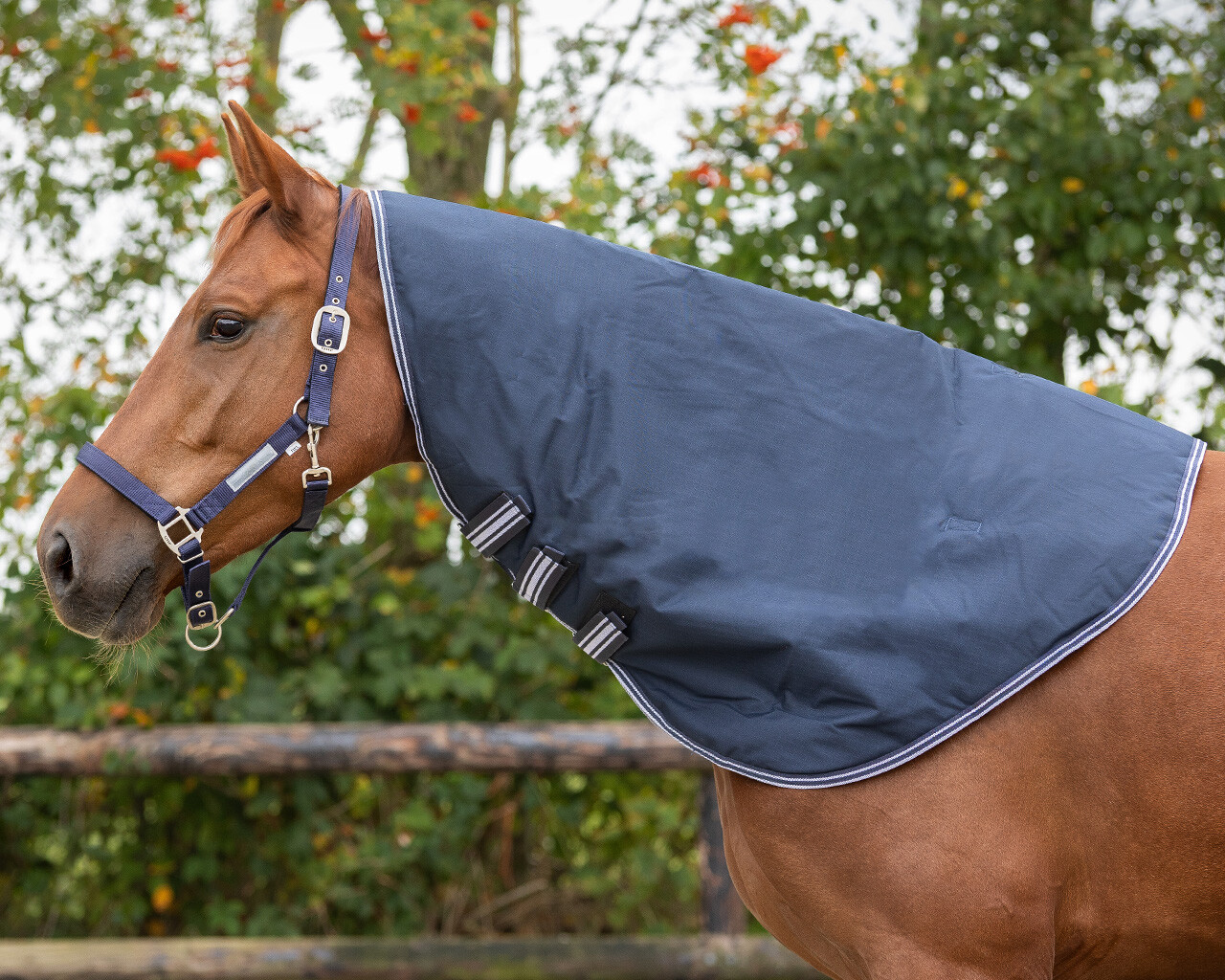 Halsteil Turnout Luxus 200gr Halsteil Turnout Luxus 200gr