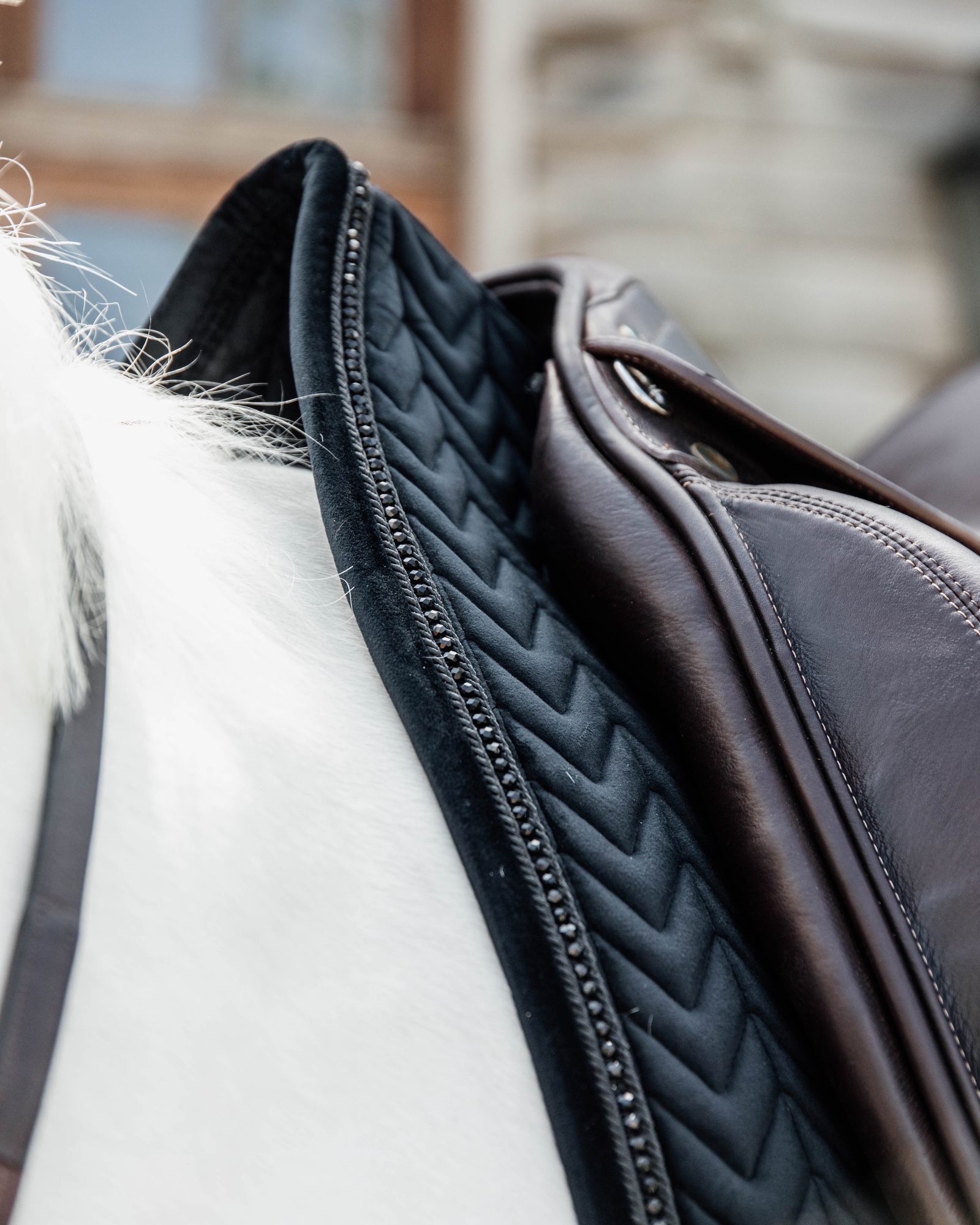 Dressage saddle pad Velvet Pearls