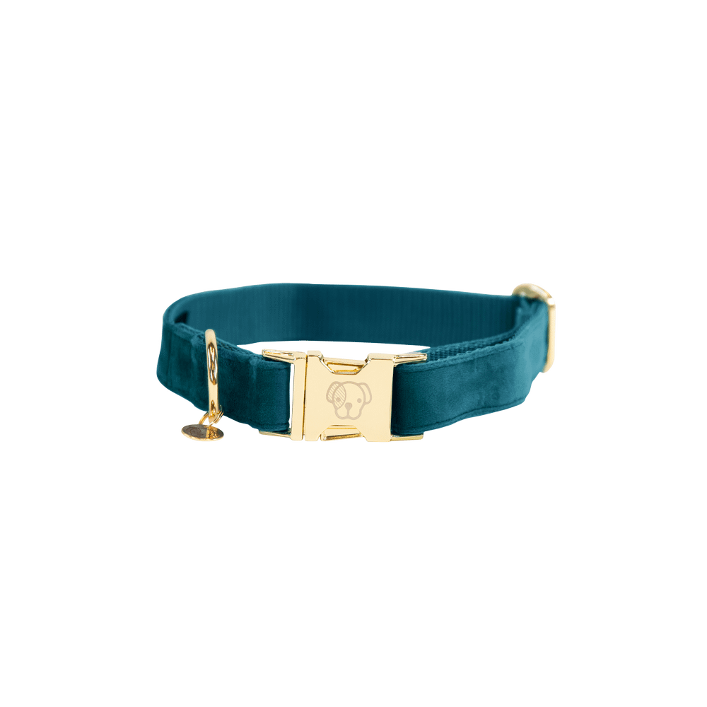 Hunde Halsband Velvet