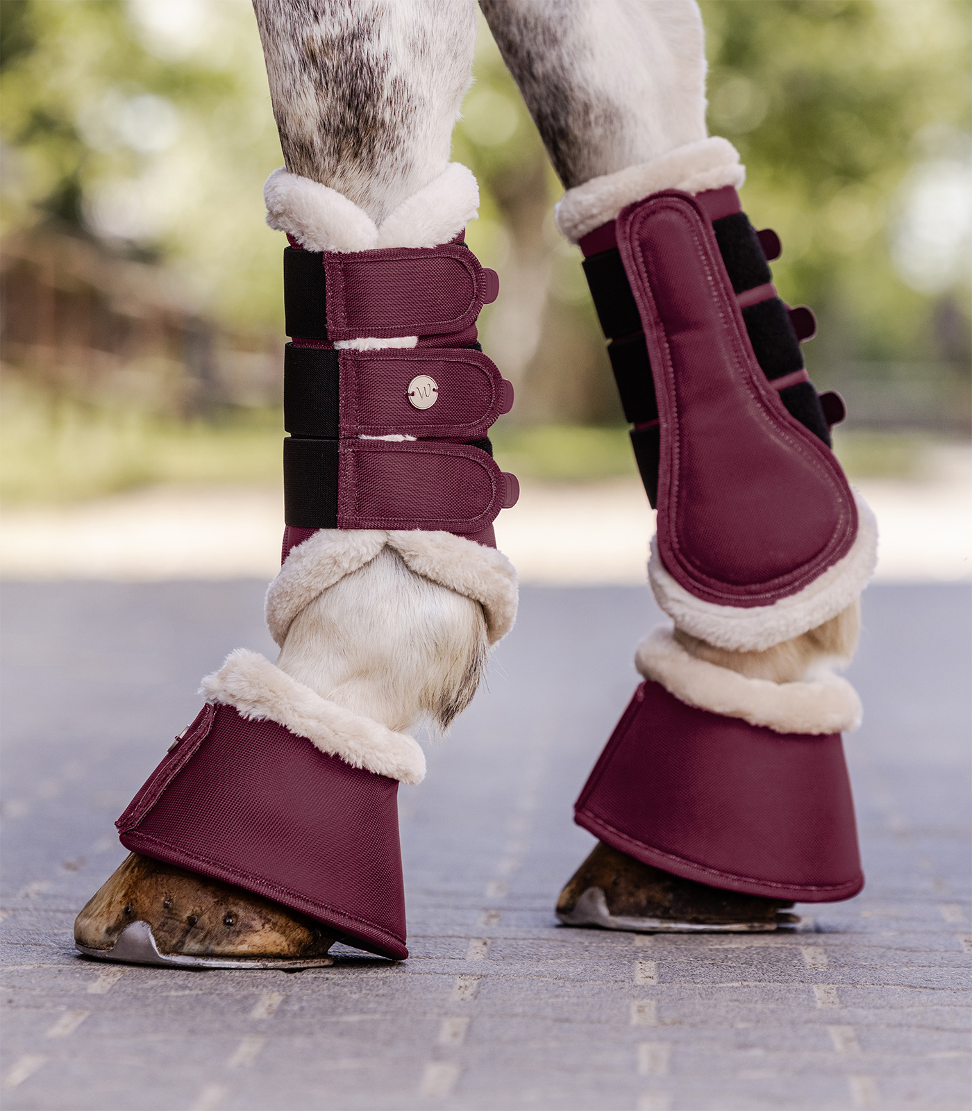 Dressurgamaschen Comfort Light