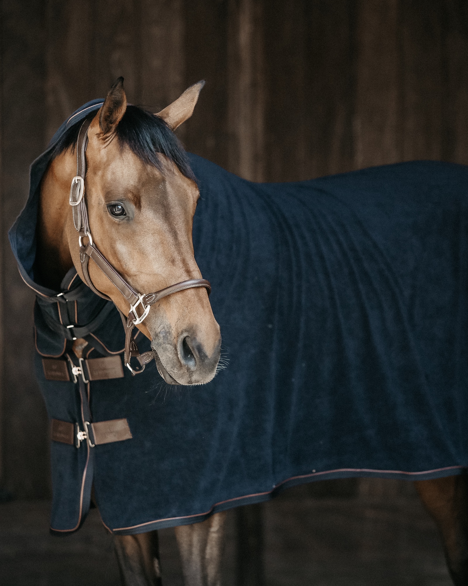 Towel sweat rug