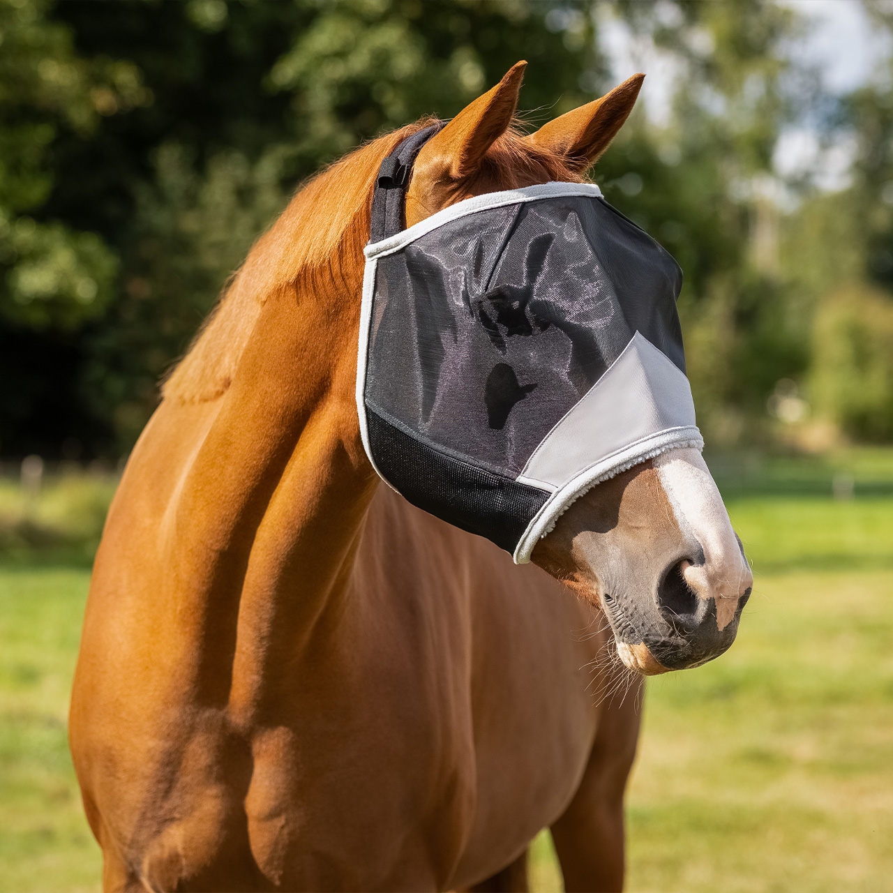 Fly mask Solaire without orhen