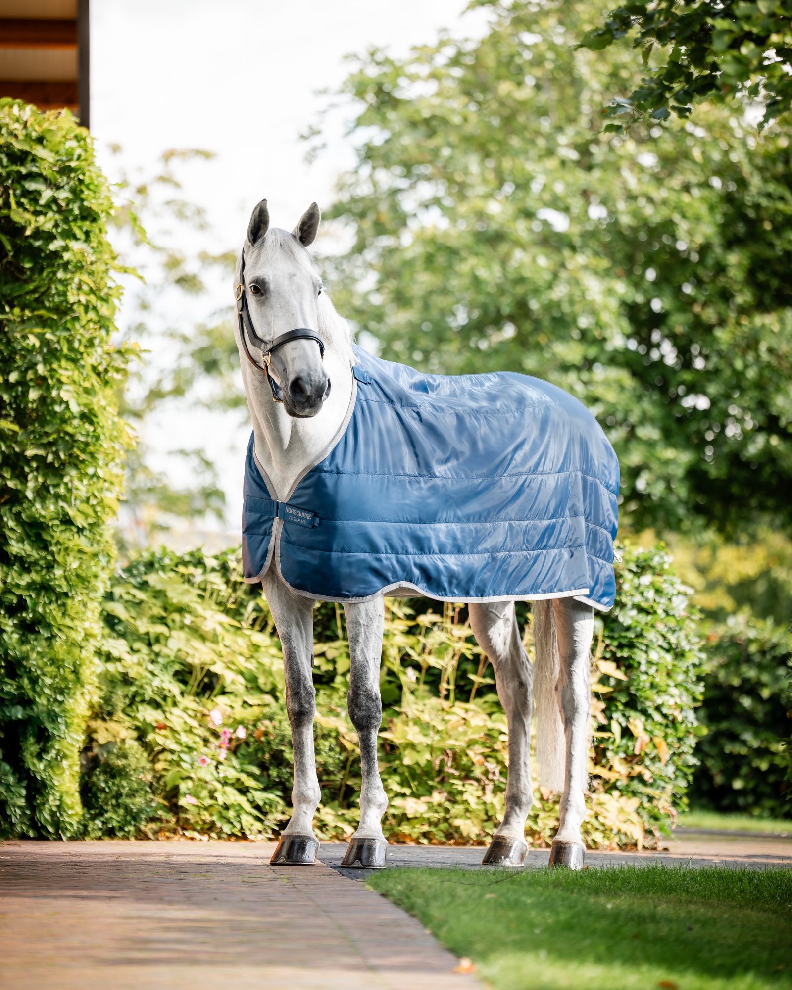 Liner Ionic Therapy 50g in imperial blue