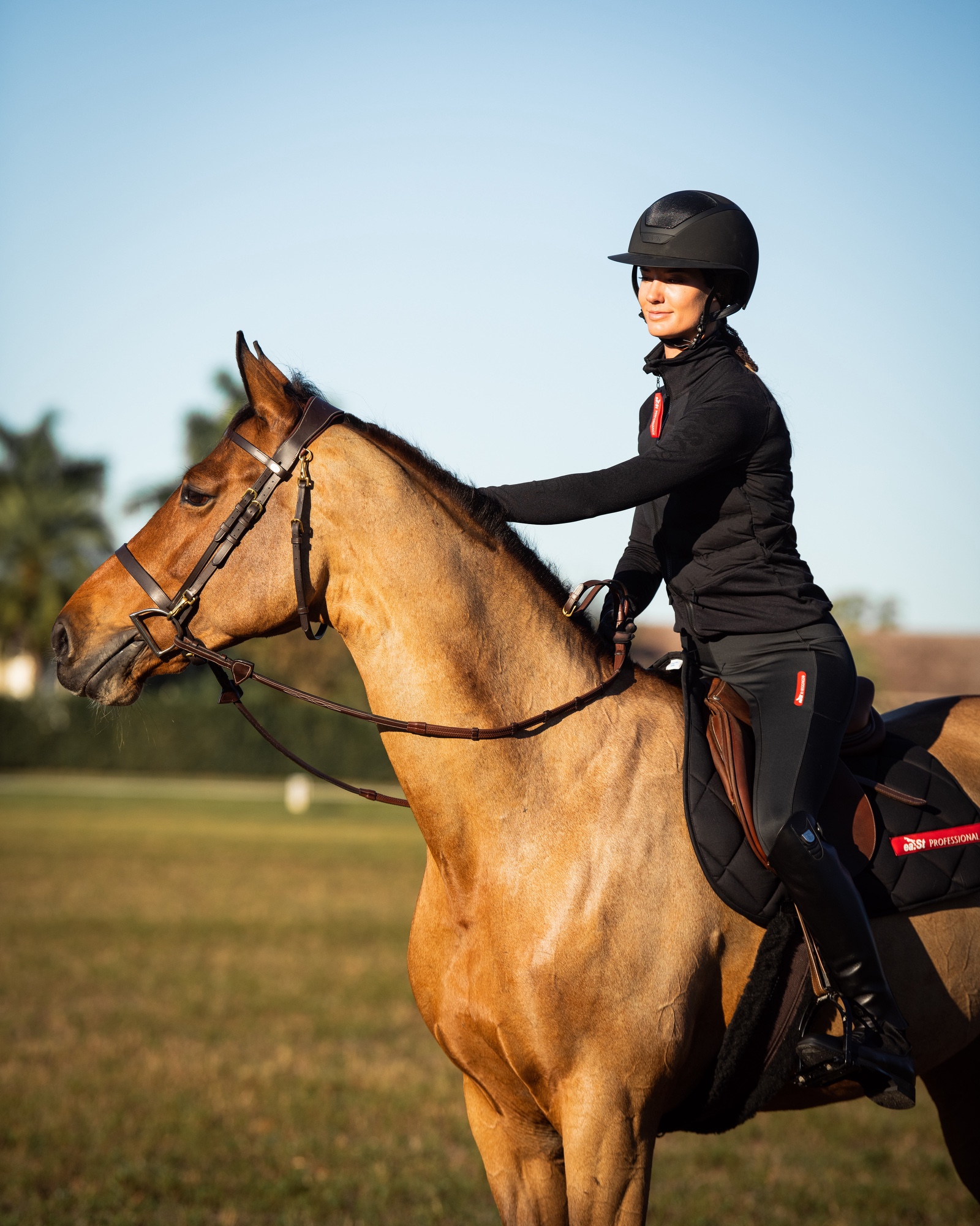 Riding jacket ladies hybrid jersey