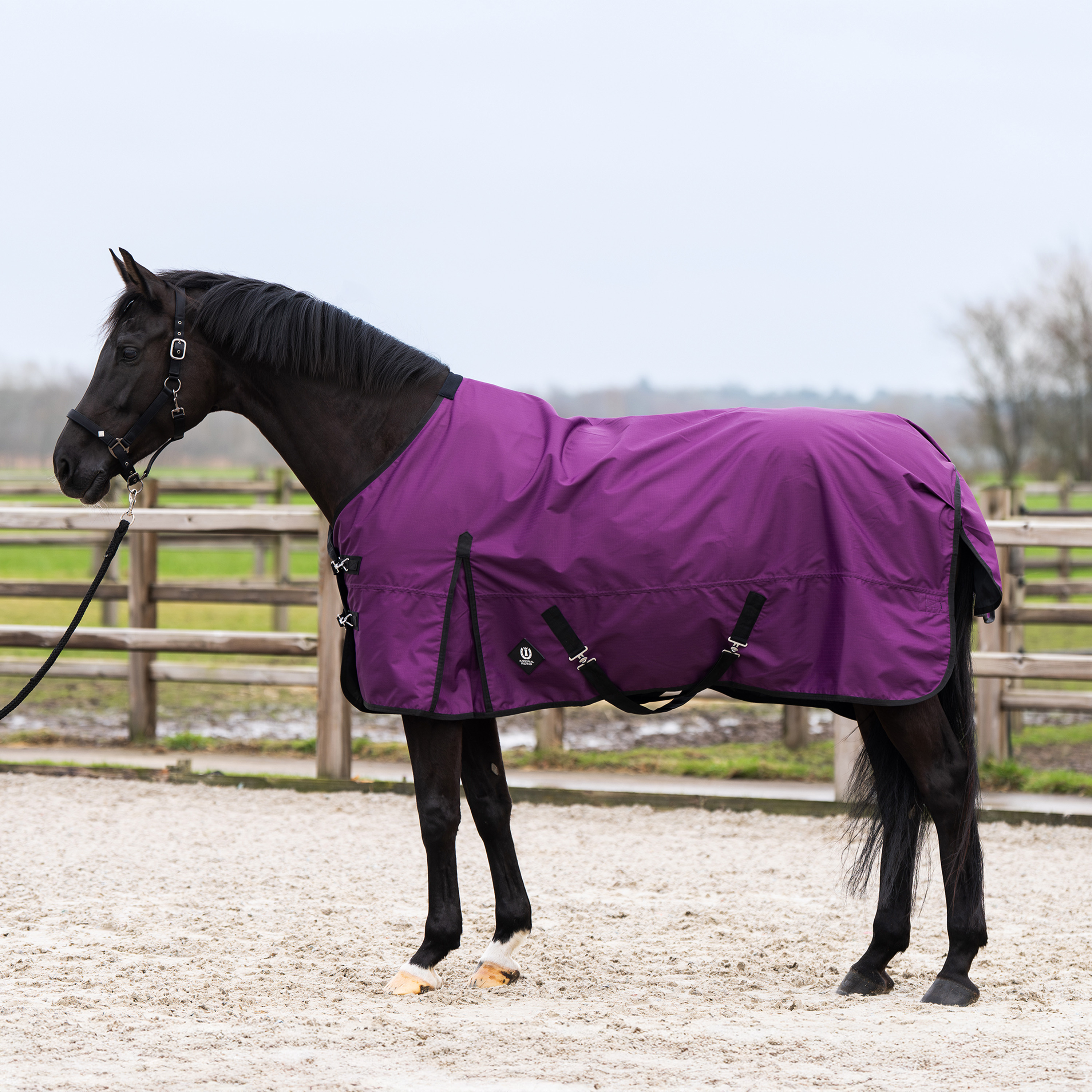 Outdoordecke Limited Sommer mit Halsteil