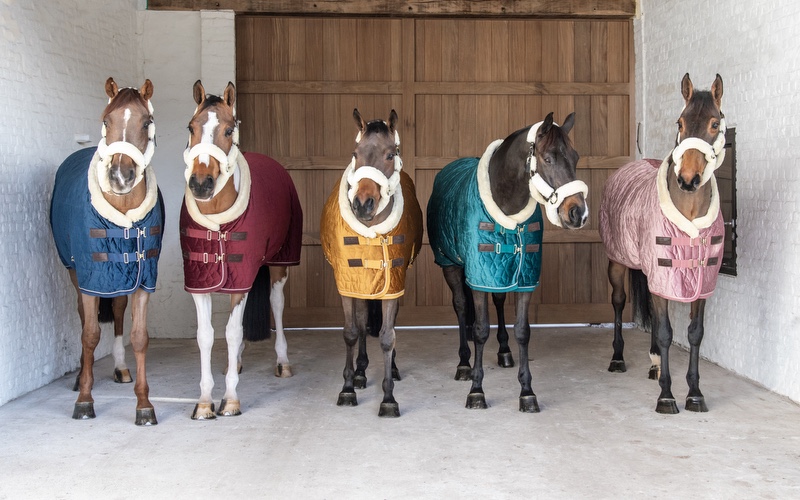 Pferdedecken Kentucky Horsewear Show Rug Velvet