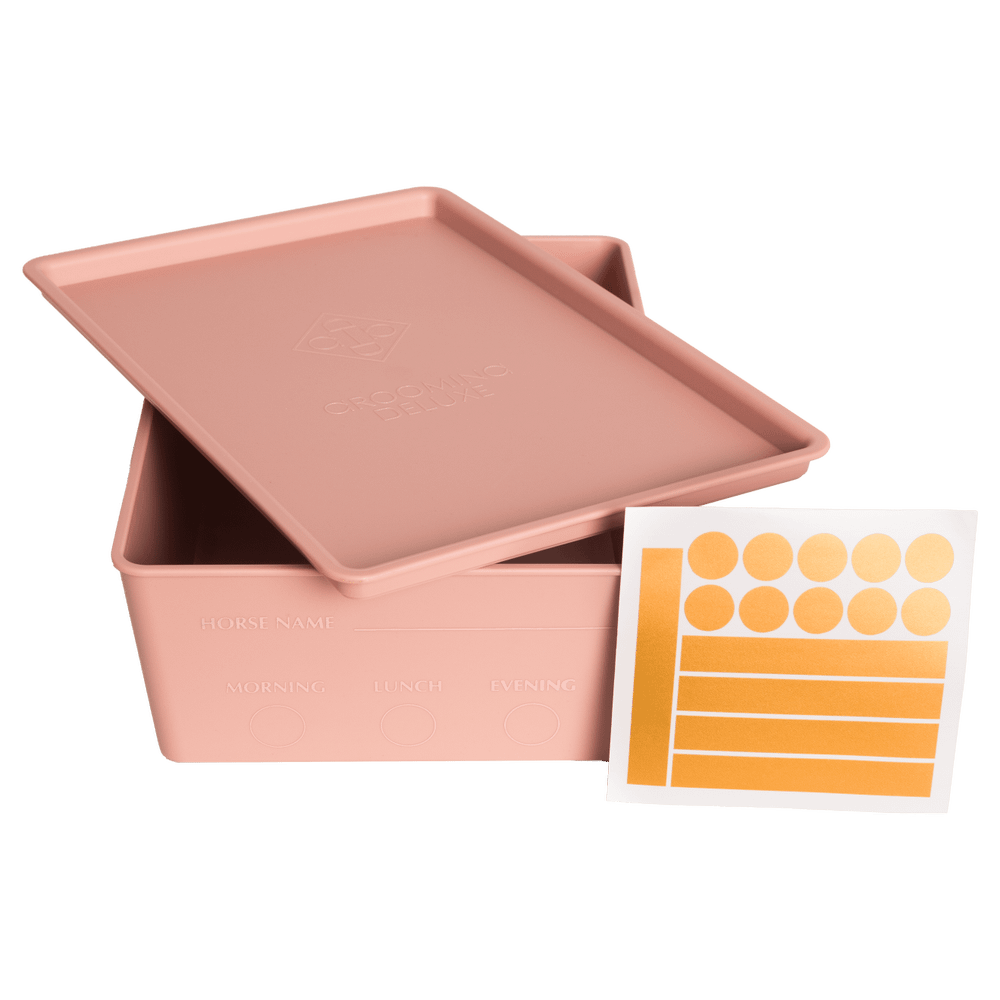 Feed box for horses with lid