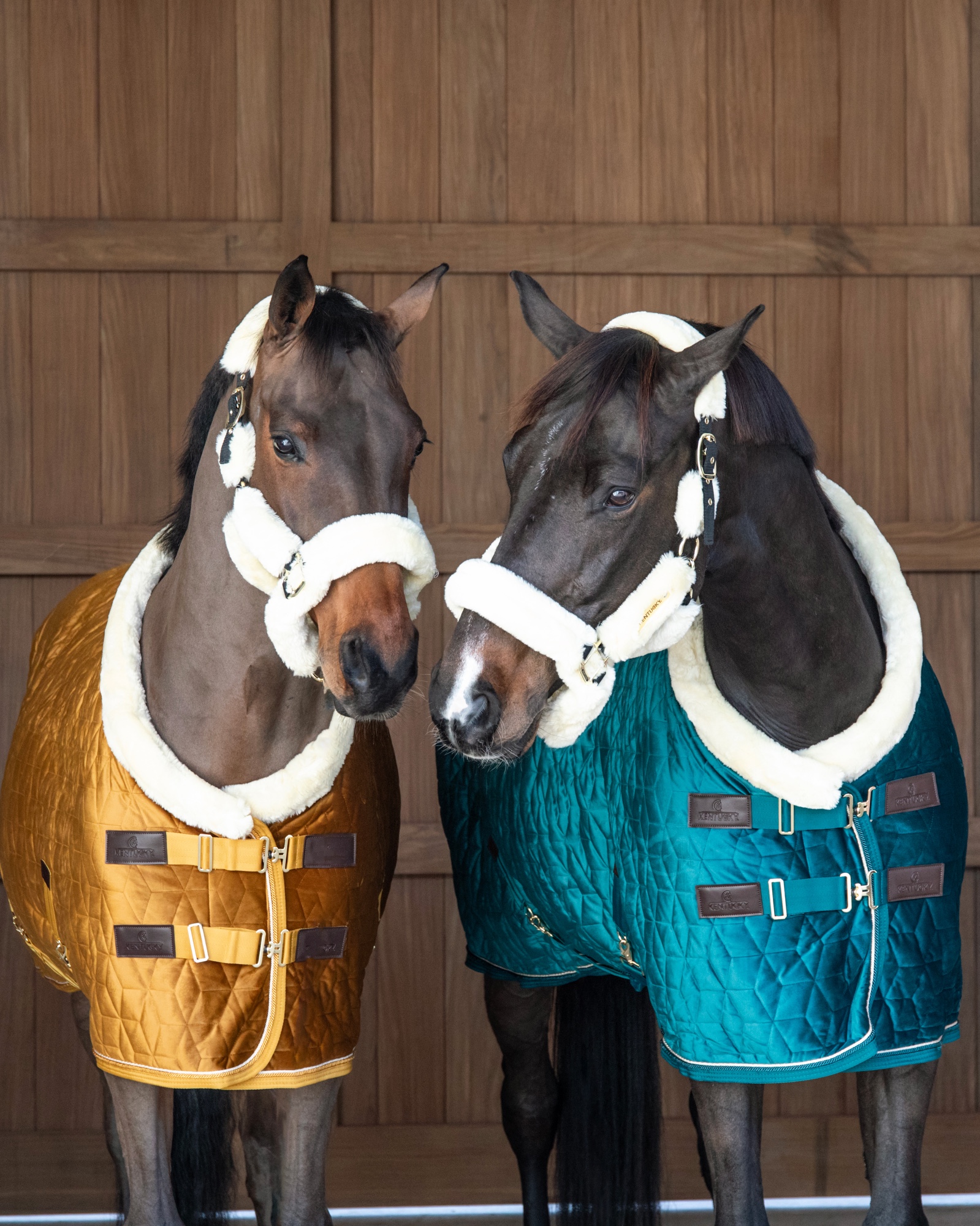 Show rug Show Rug Velvet 160g