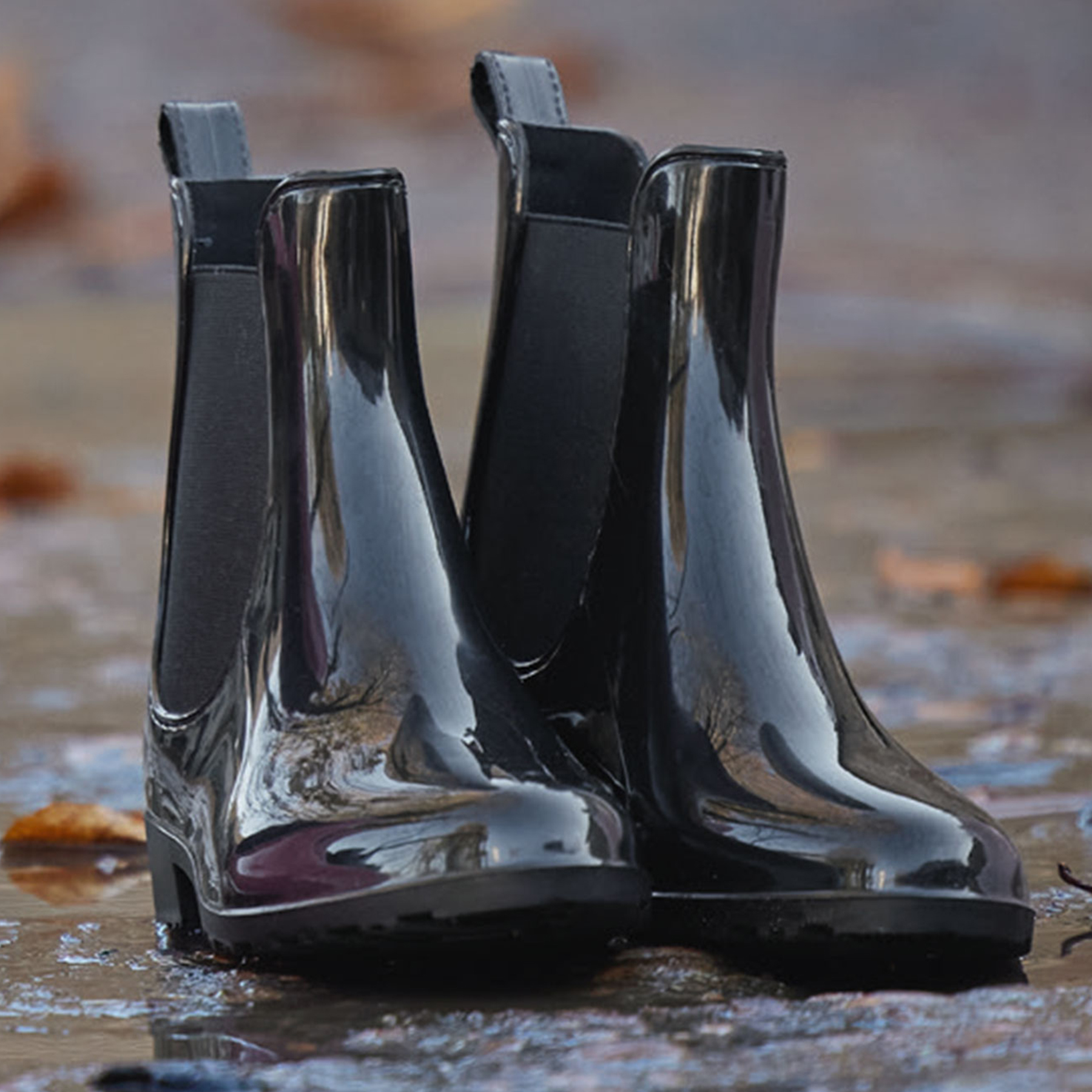Jodhpurstiefelette Shiny