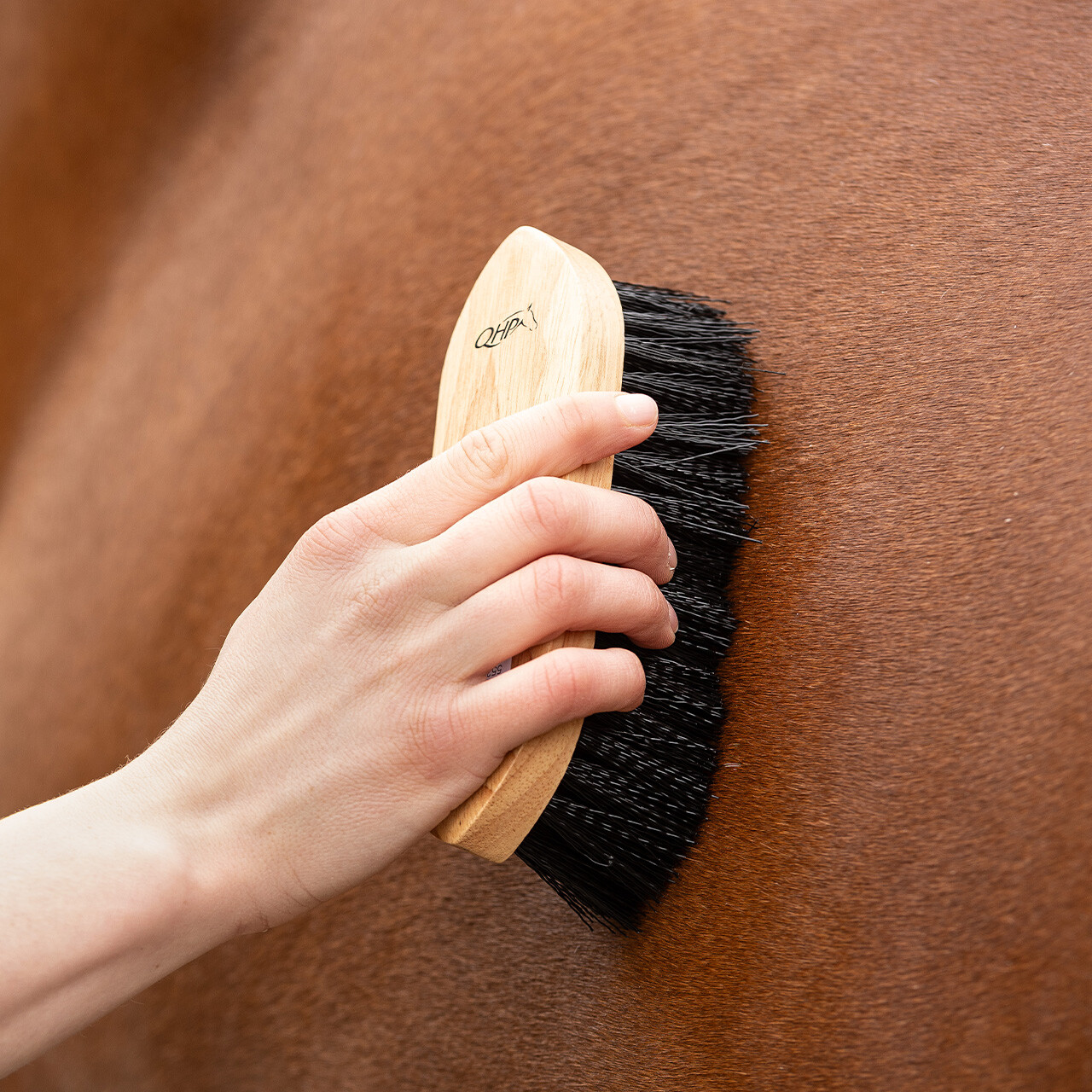 Wurzelbürste Magnet