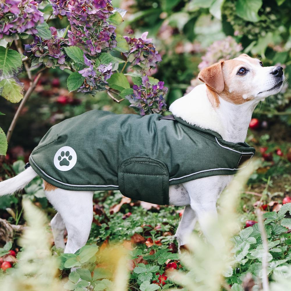Manteau pour chien imperméable 300g en olive