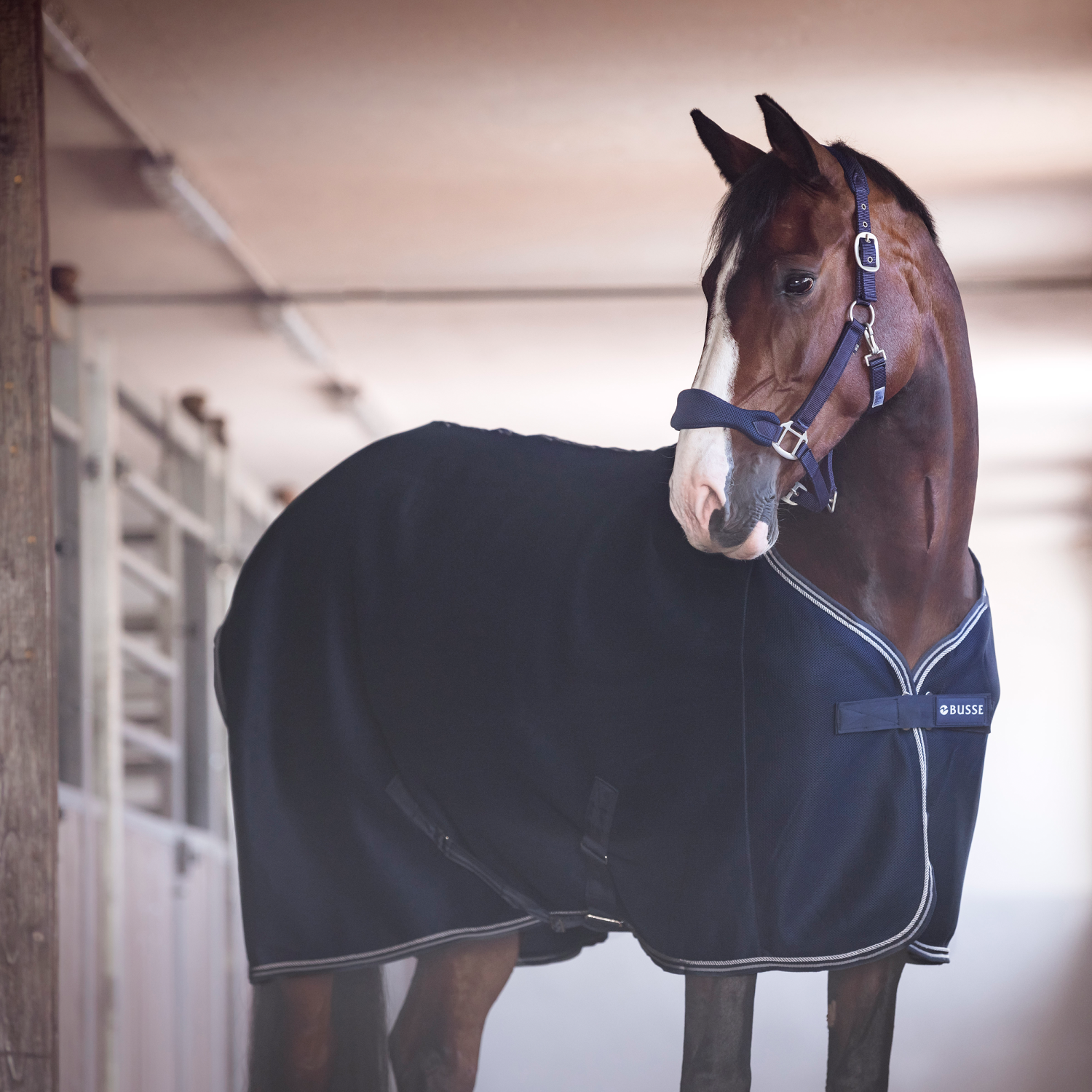 3D Air sweat rug