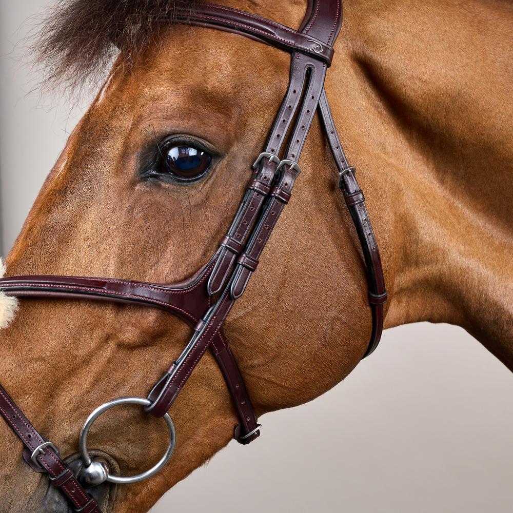 Trense mit mexikanischem Reithalfter NE