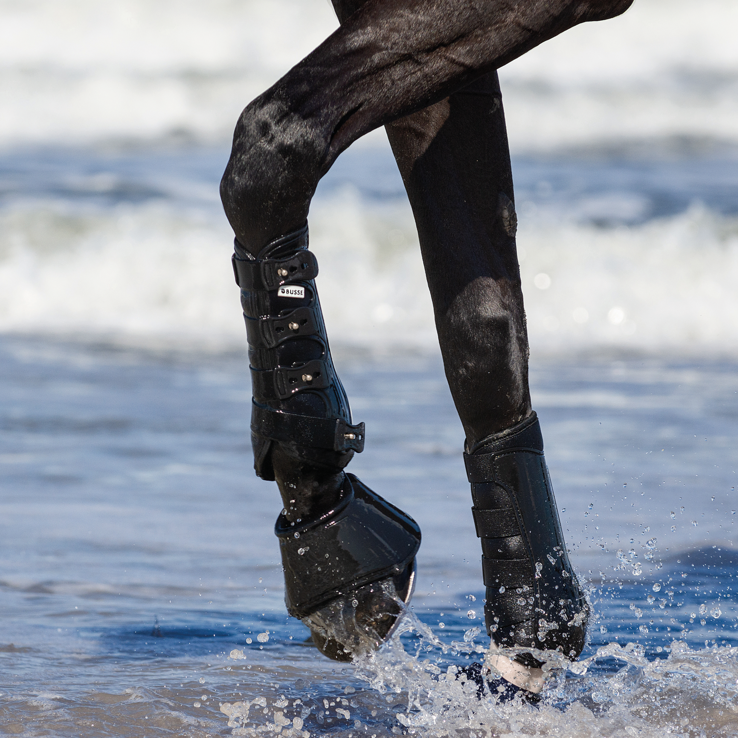 Guêtres Dressage-Pro