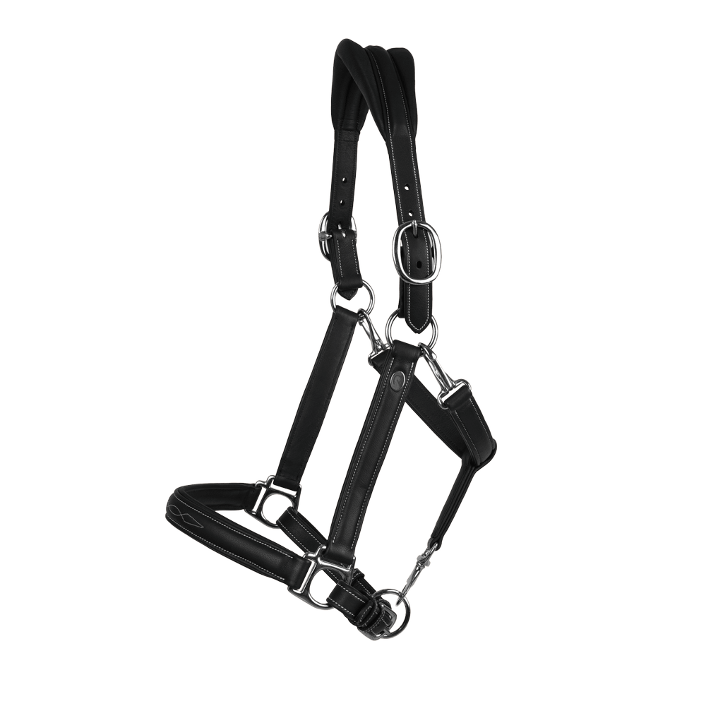 Licol Working 2 In 1 Transport & Stall