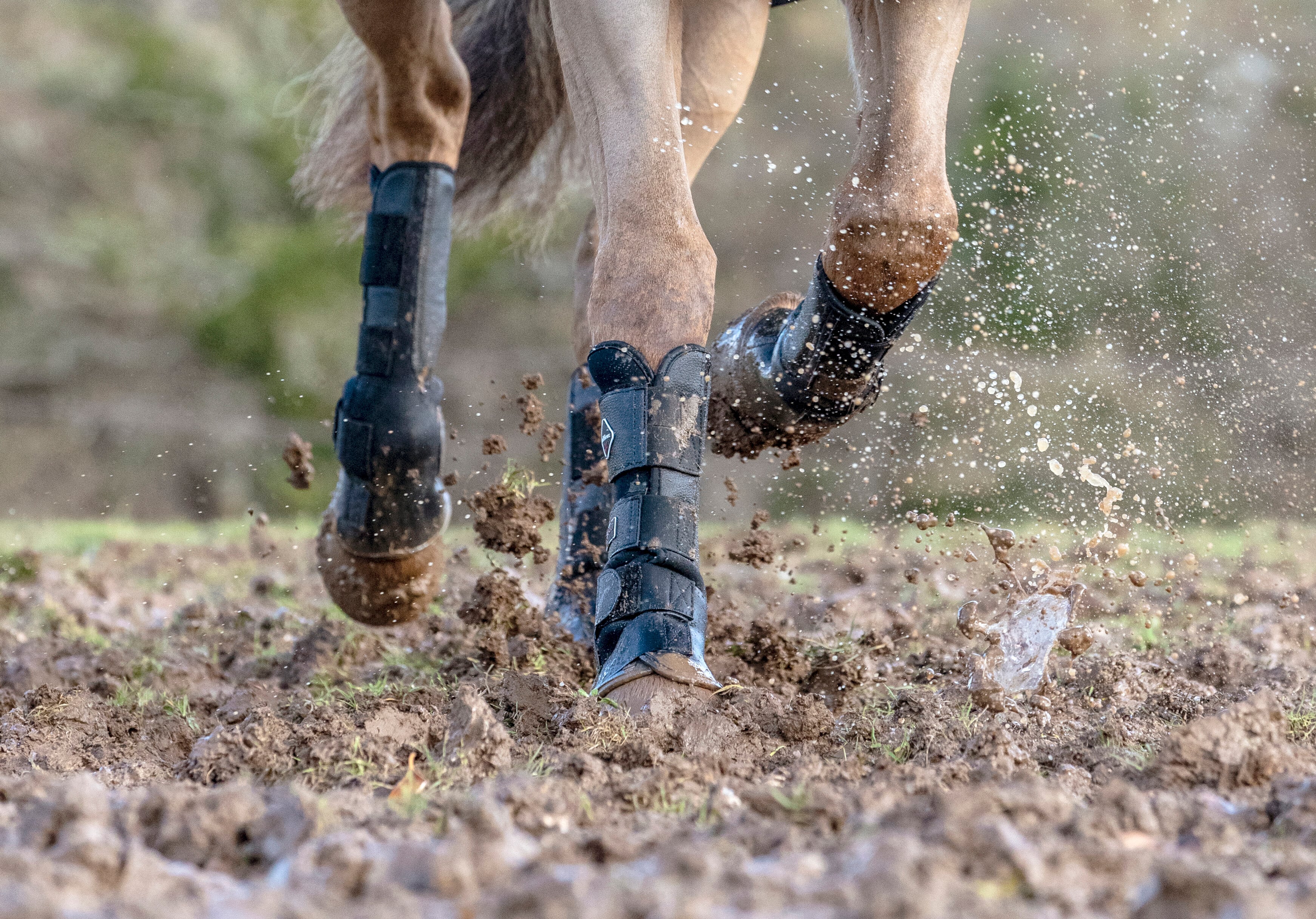 Turnout boots