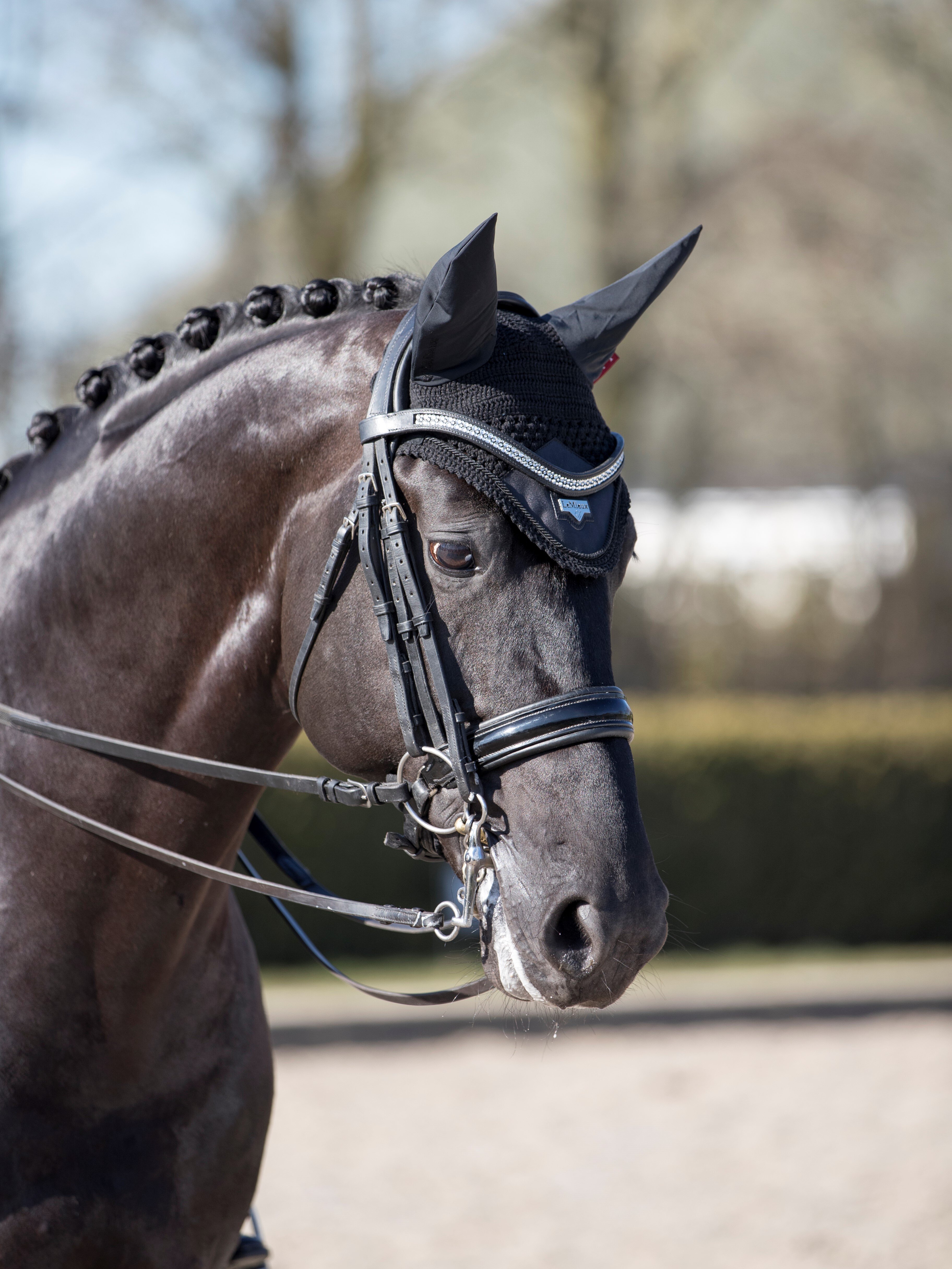 Loire ear bonnet