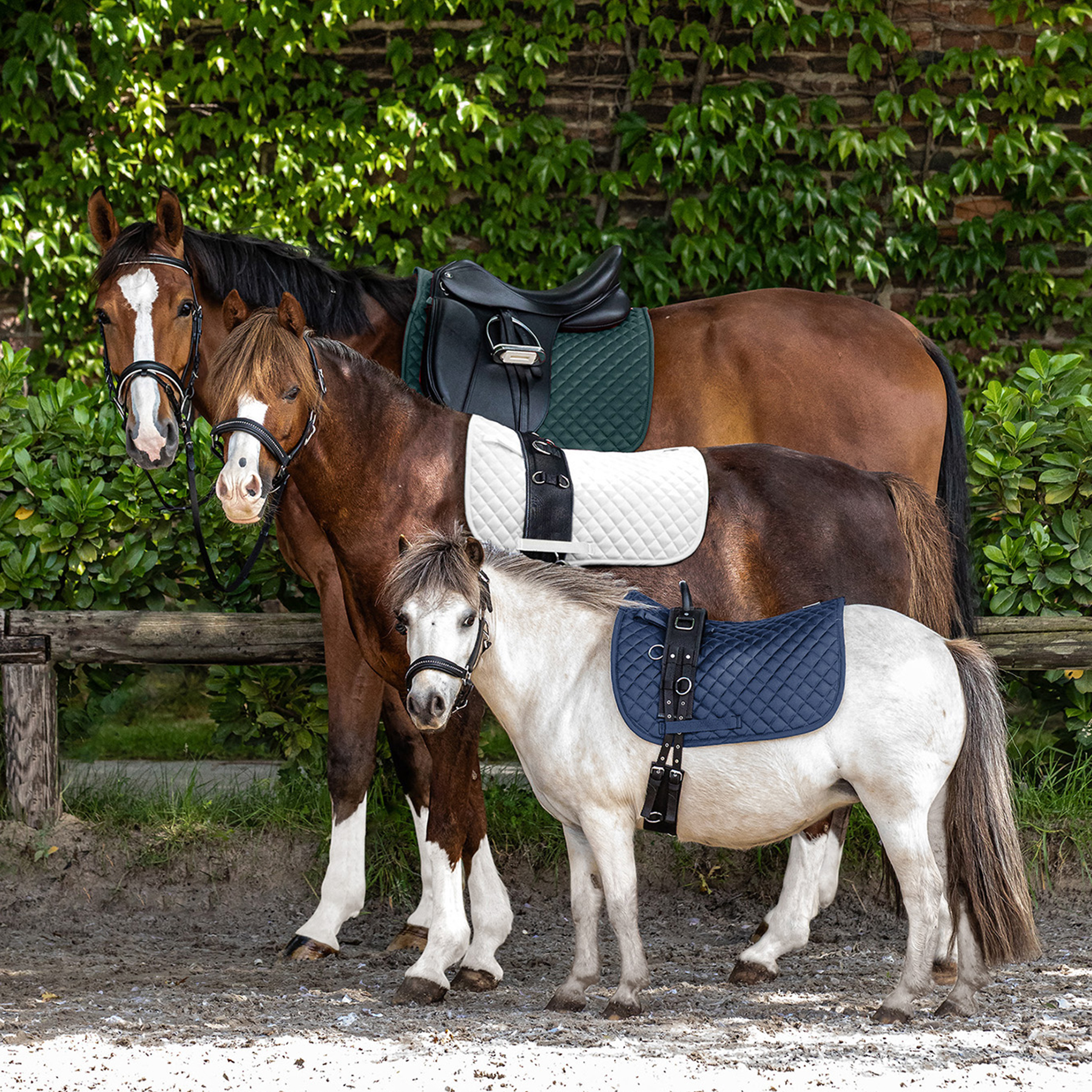 Saddle pad Felix Saddle pad Felix