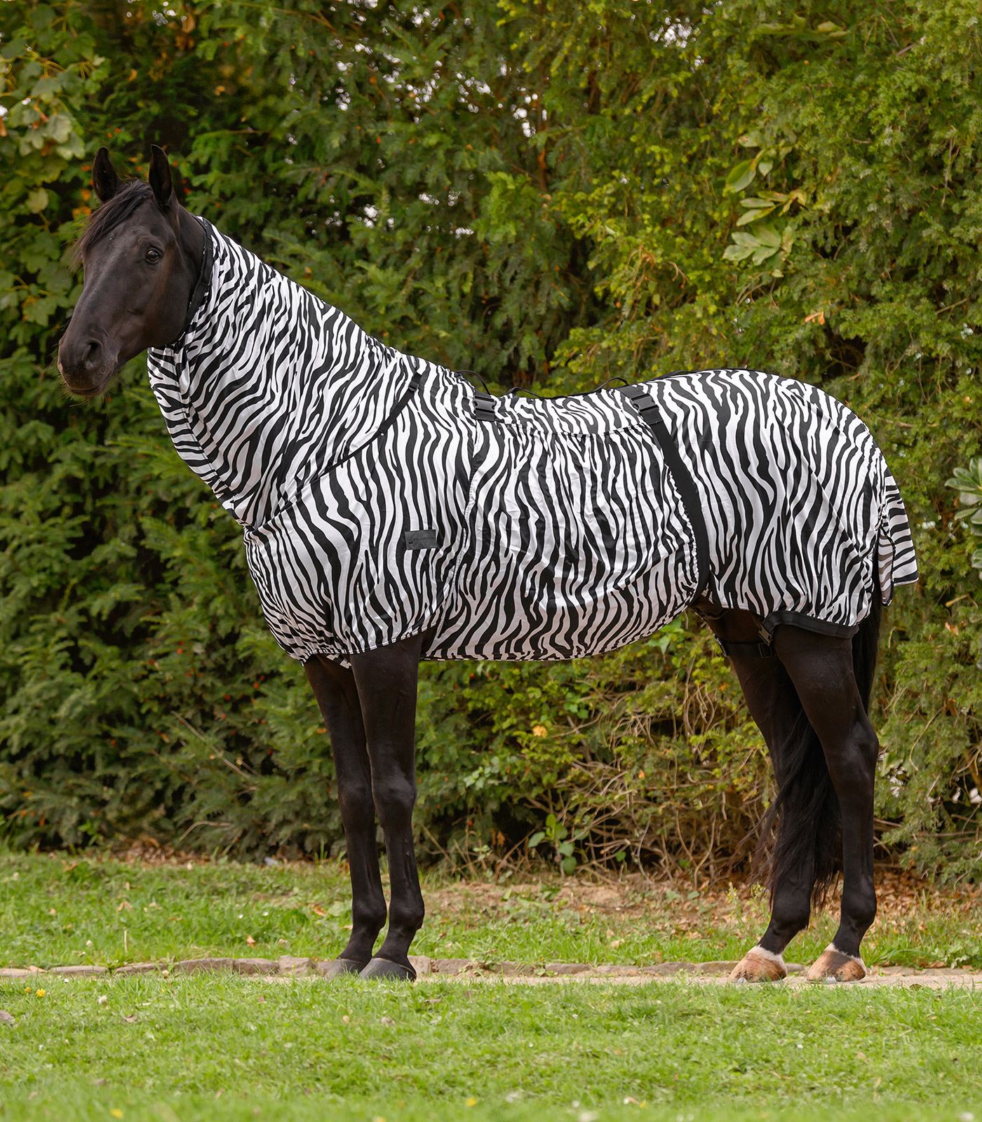 Ekzemerdecke Zebra Basic