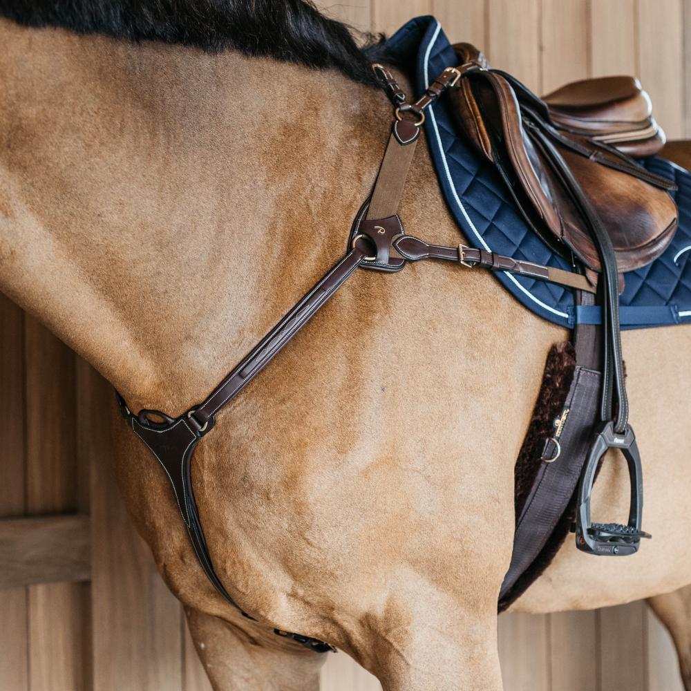 5-Punkt-Brustblatt mit Elastik | Dy'on