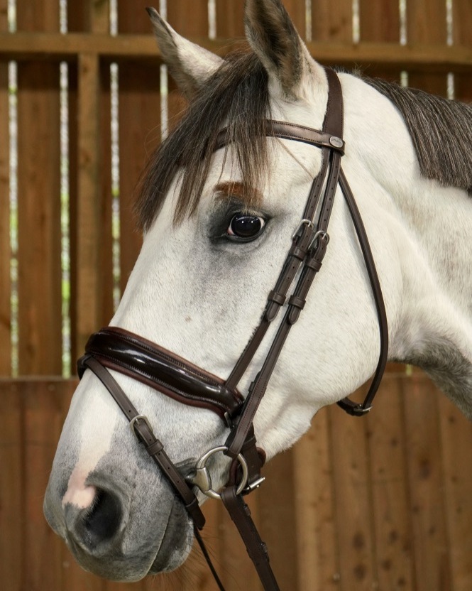 Snaffle bridle wide swedish-combined lacquer