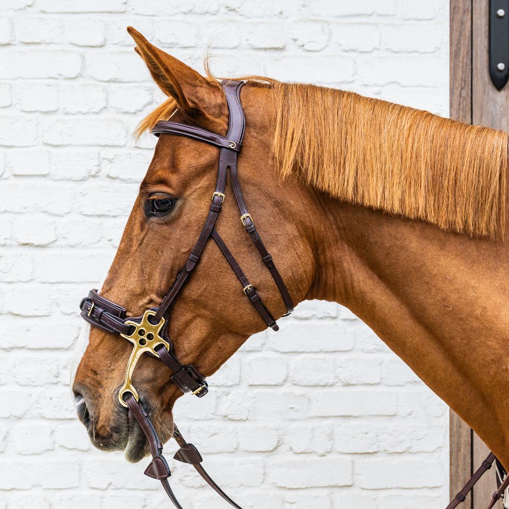 Hackamore bridle DY | Dy'on