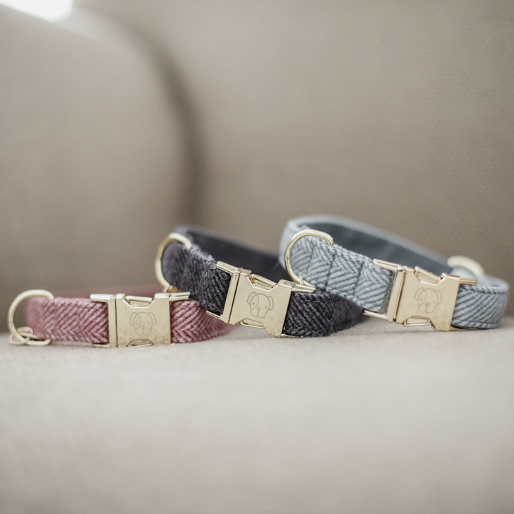 Wool dog collar