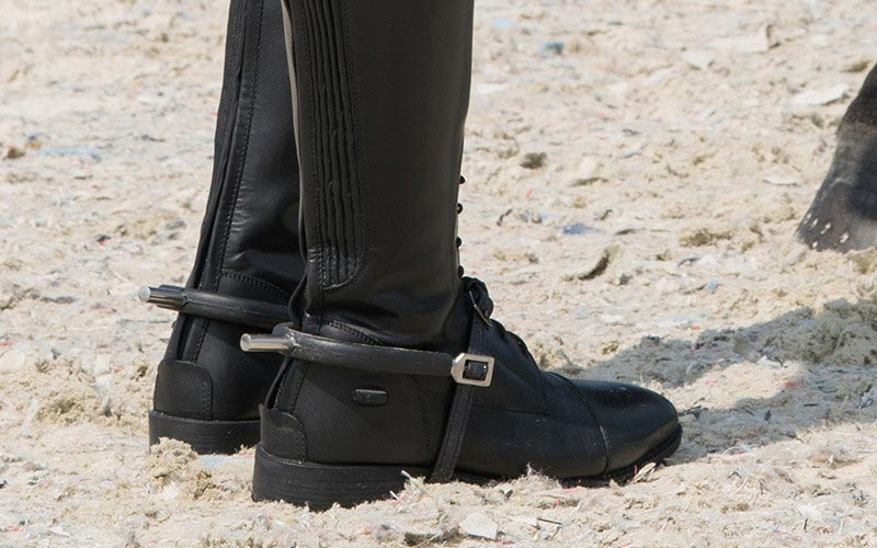Sporen & Sporenriemen Sporen und Sporenriemen am Reitstiefel