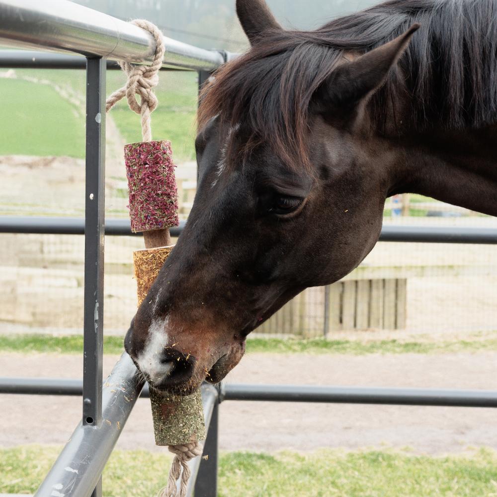 Holz relax horse toy