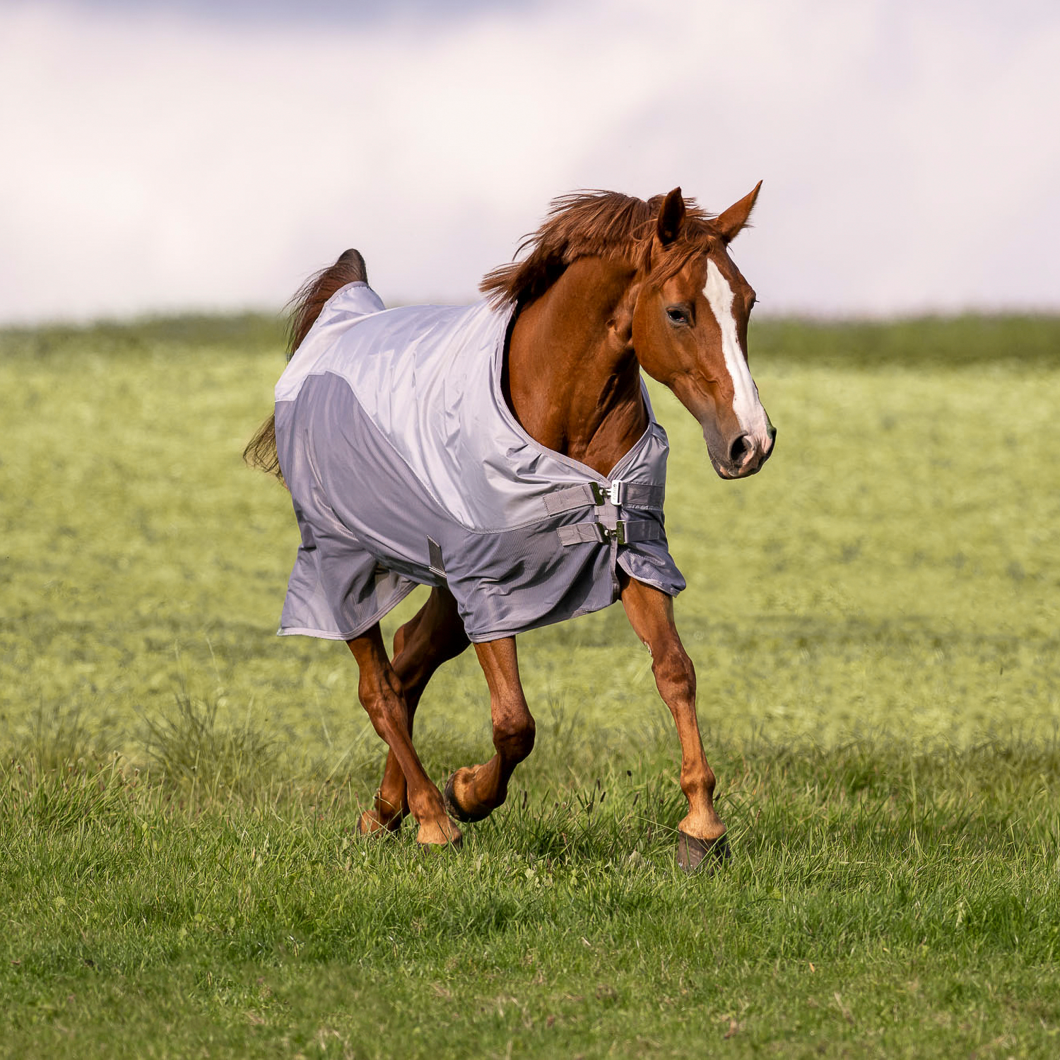 RainFly outdoor blanket