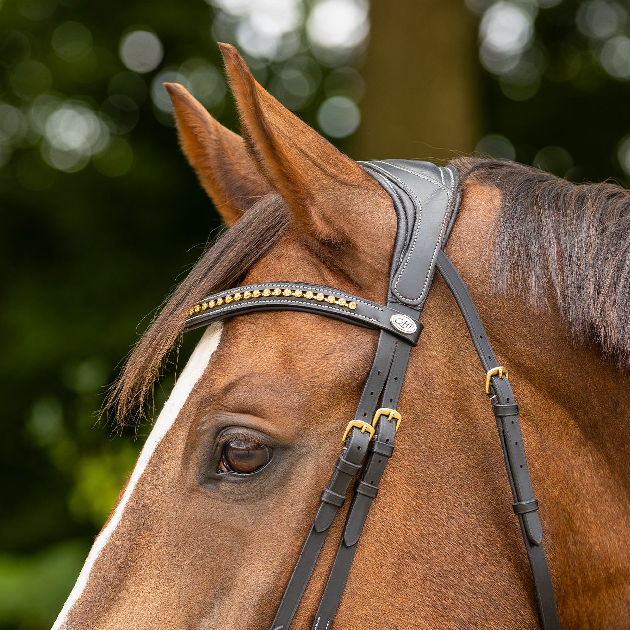 Snaffle Devi