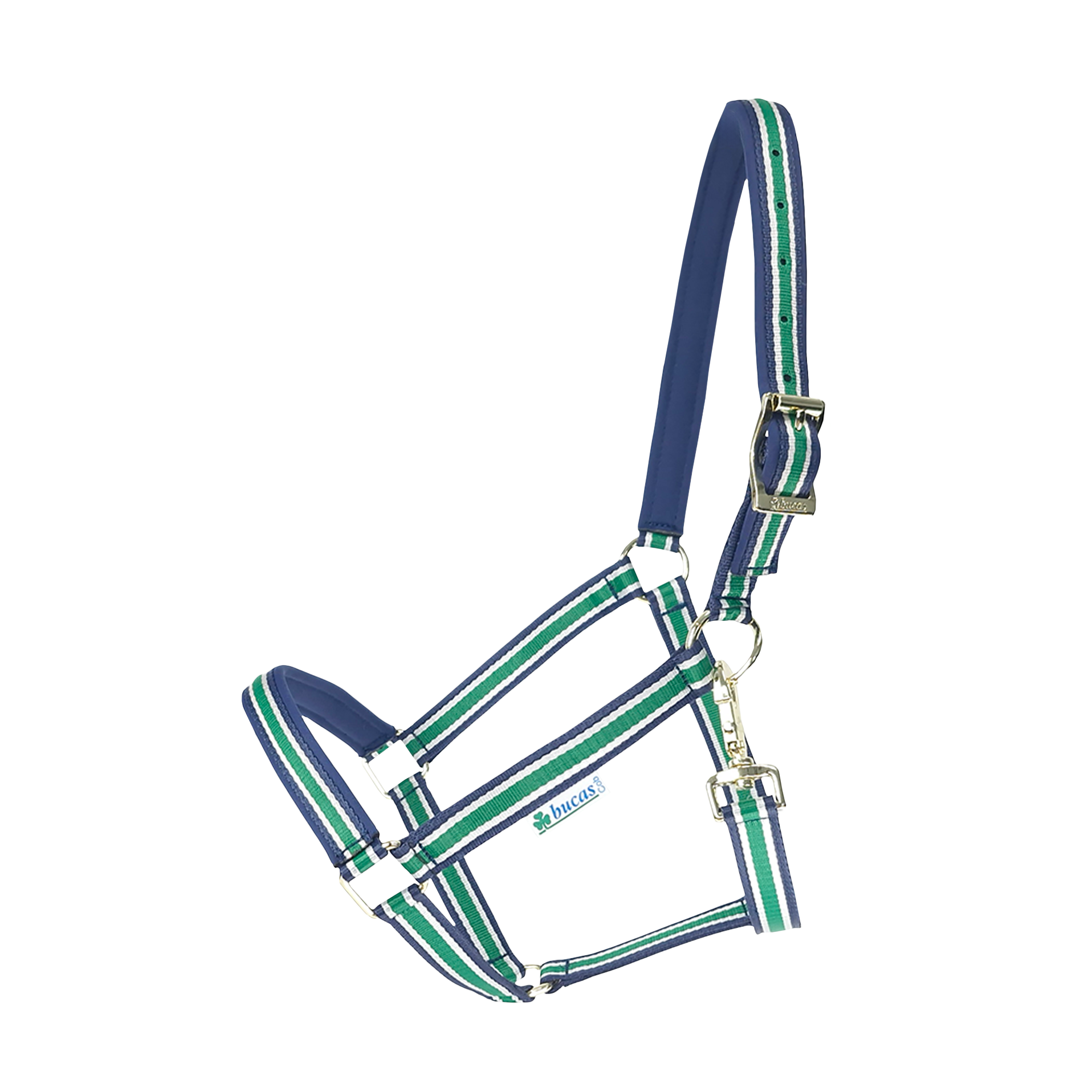 Halfter Dublin in Striped/Navy